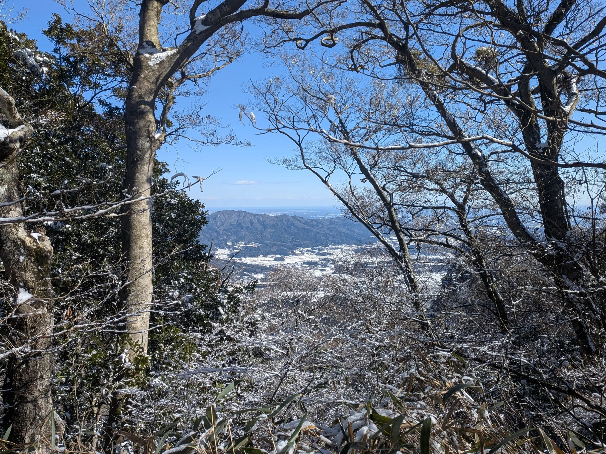 たむら鍼灸整骨院のイメージ