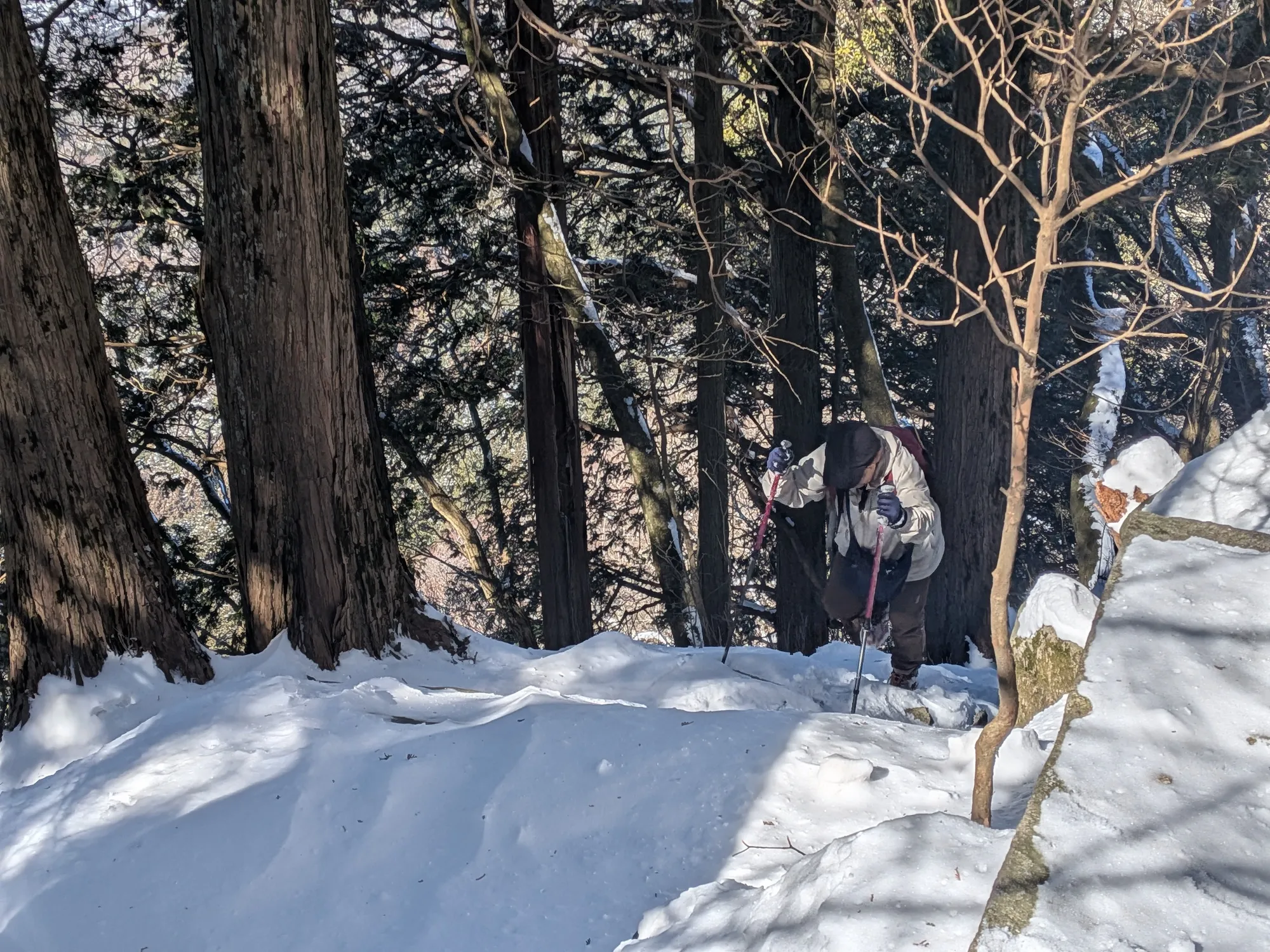 たむら鍼灸整骨院のイメージ