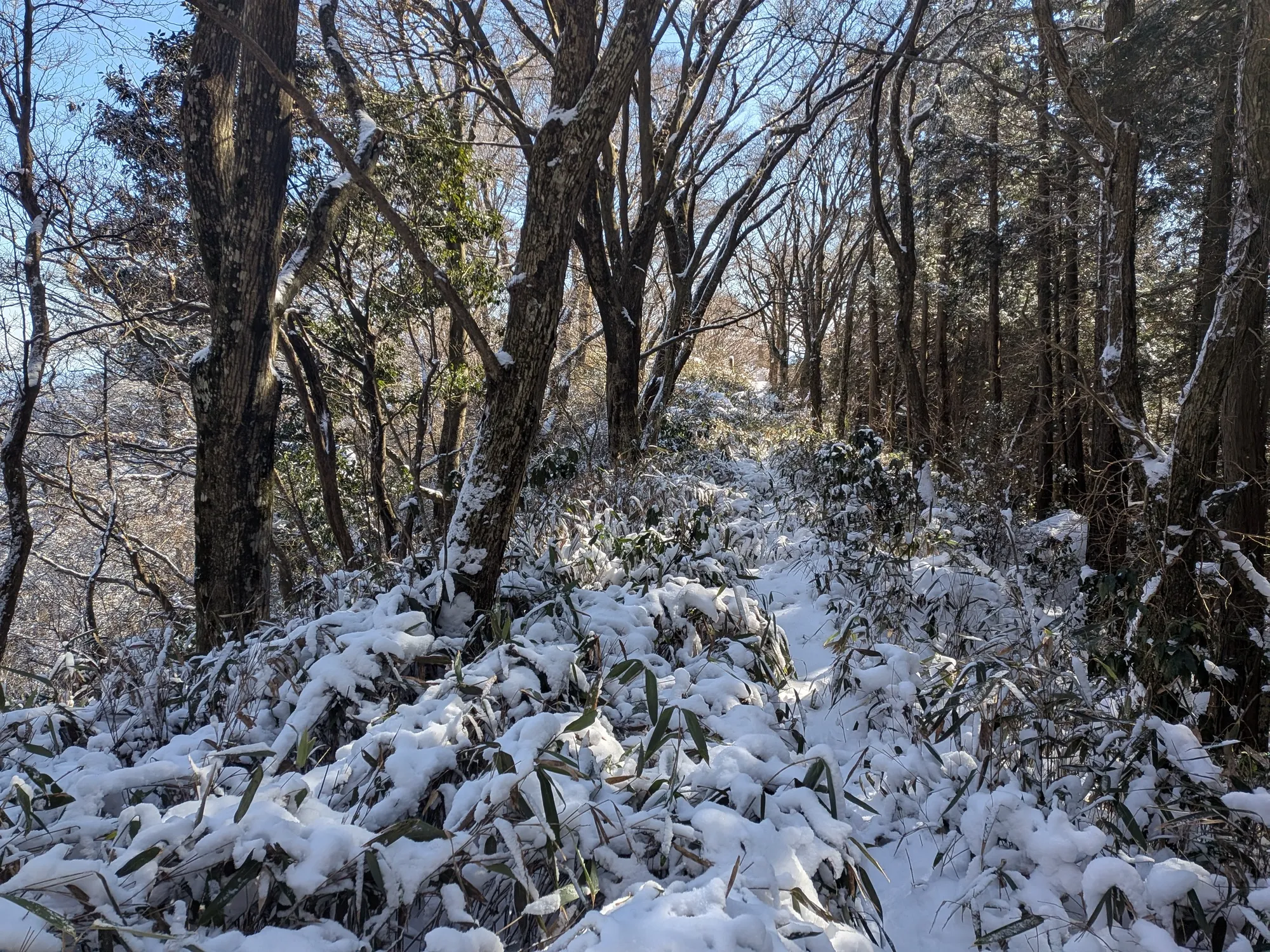 たむら鍼灸整骨院のイメージ
