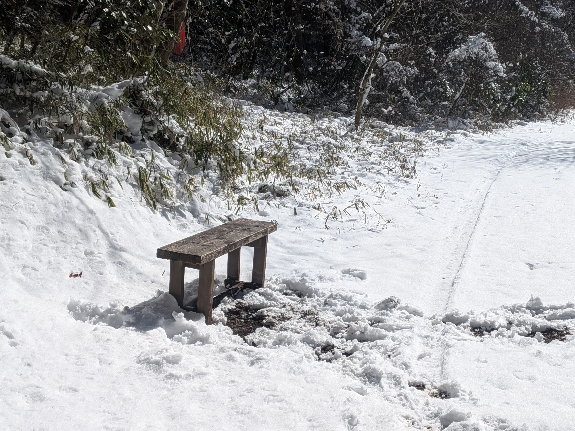 たむら鍼灸整骨院のイメージ