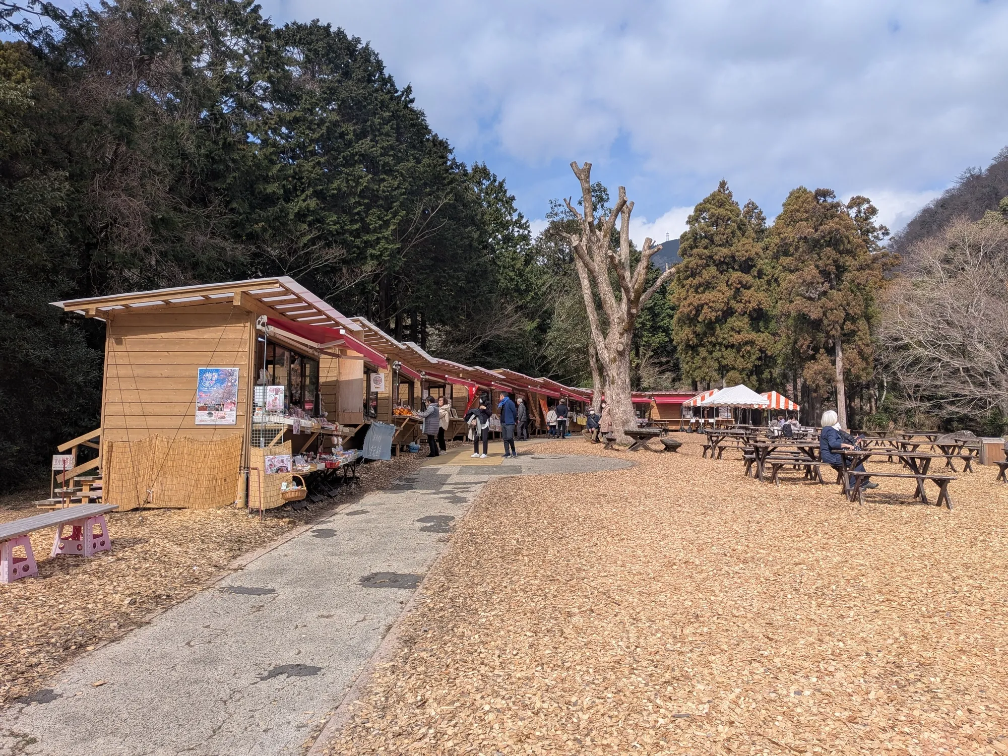 たむら鍼灸整骨院のイメージ