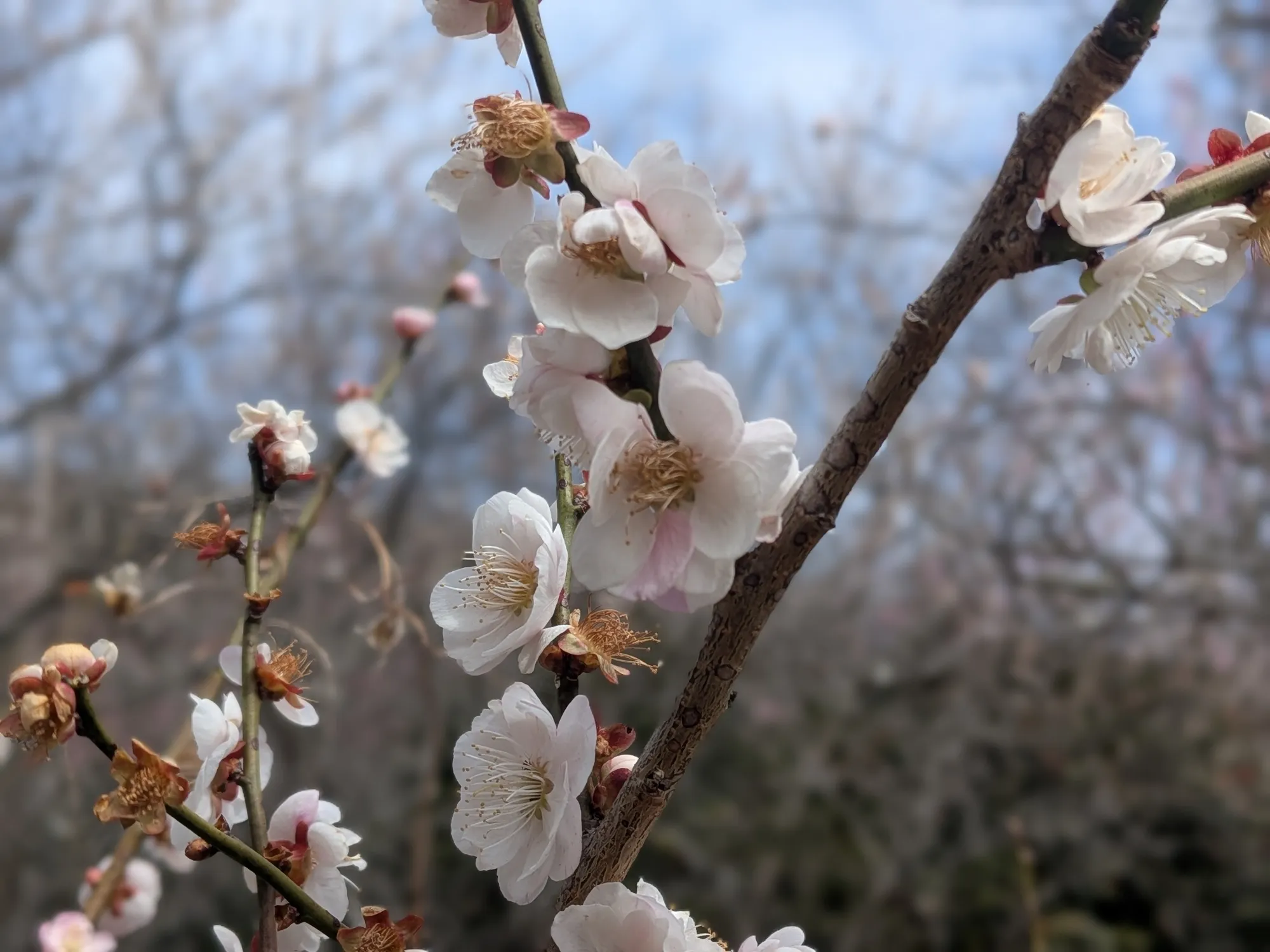 たむら鍼灸整骨院のイメージ