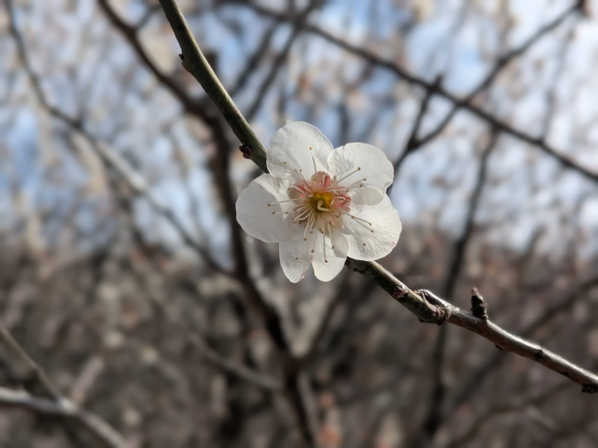 たむら鍼灸整骨院のイメージ