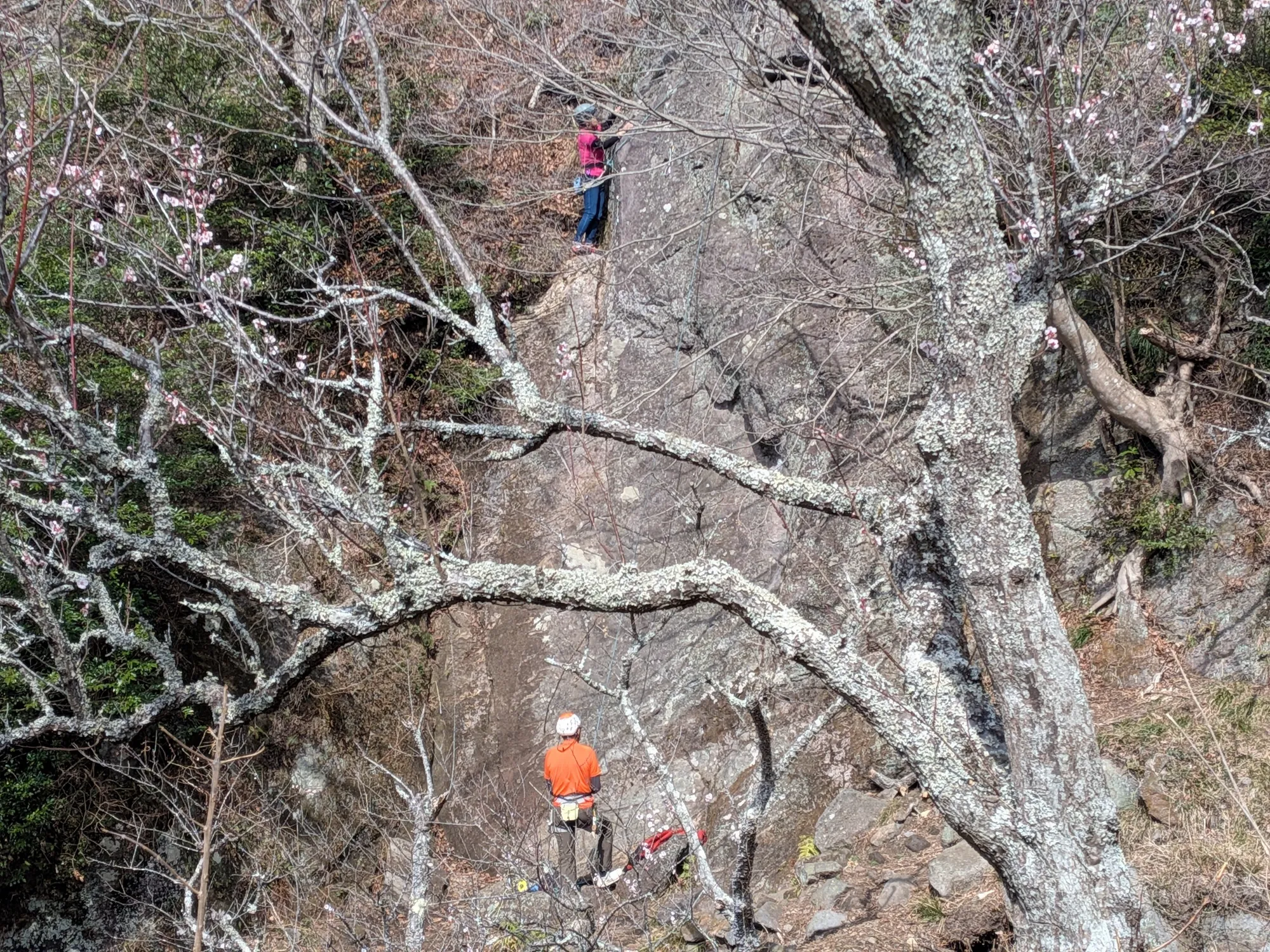 たむら鍼灸整骨院のイメージ
