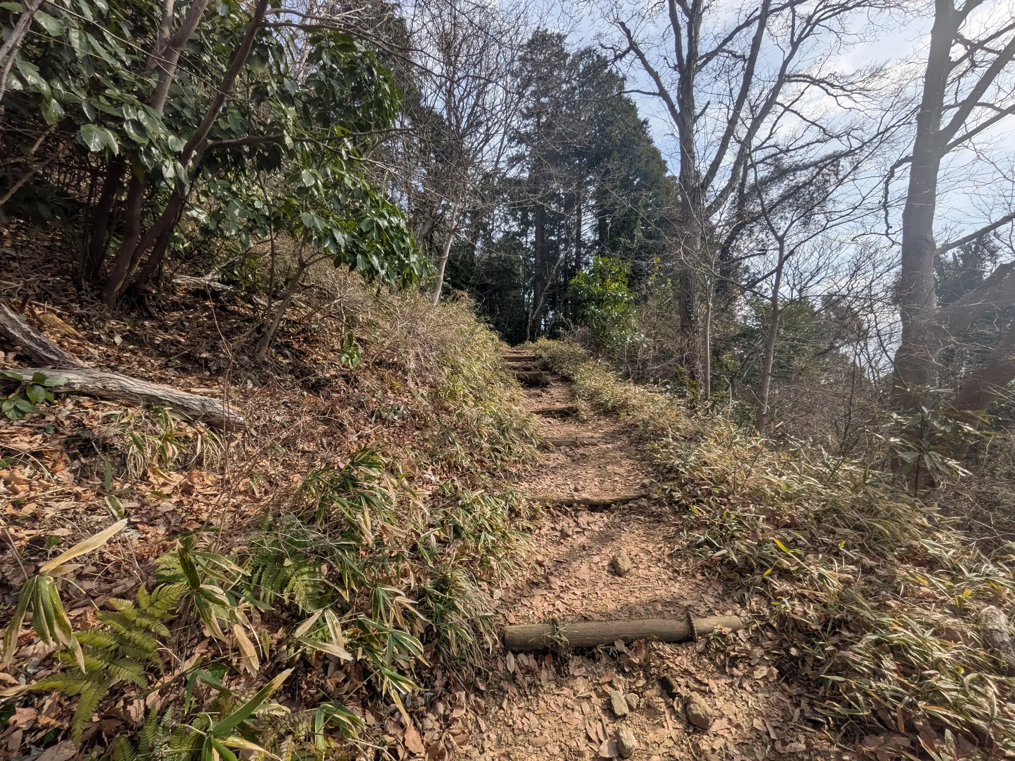 たむら鍼灸整骨院のイメージ