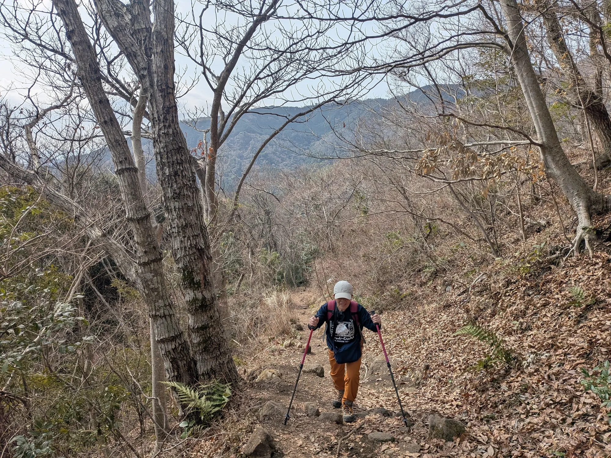 たむら鍼灸整骨院のイメージ