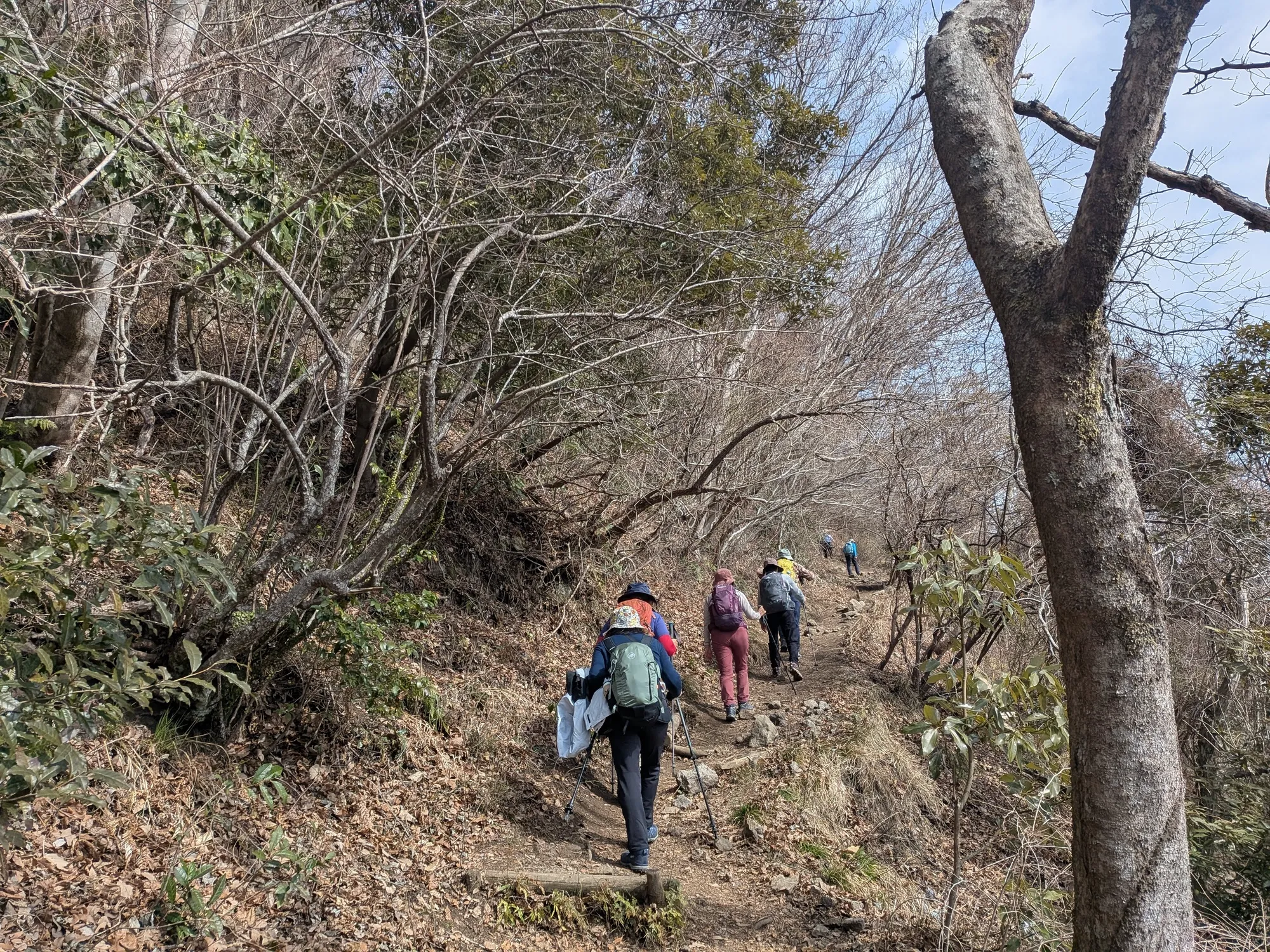 たむら鍼灸整骨院のイメージ