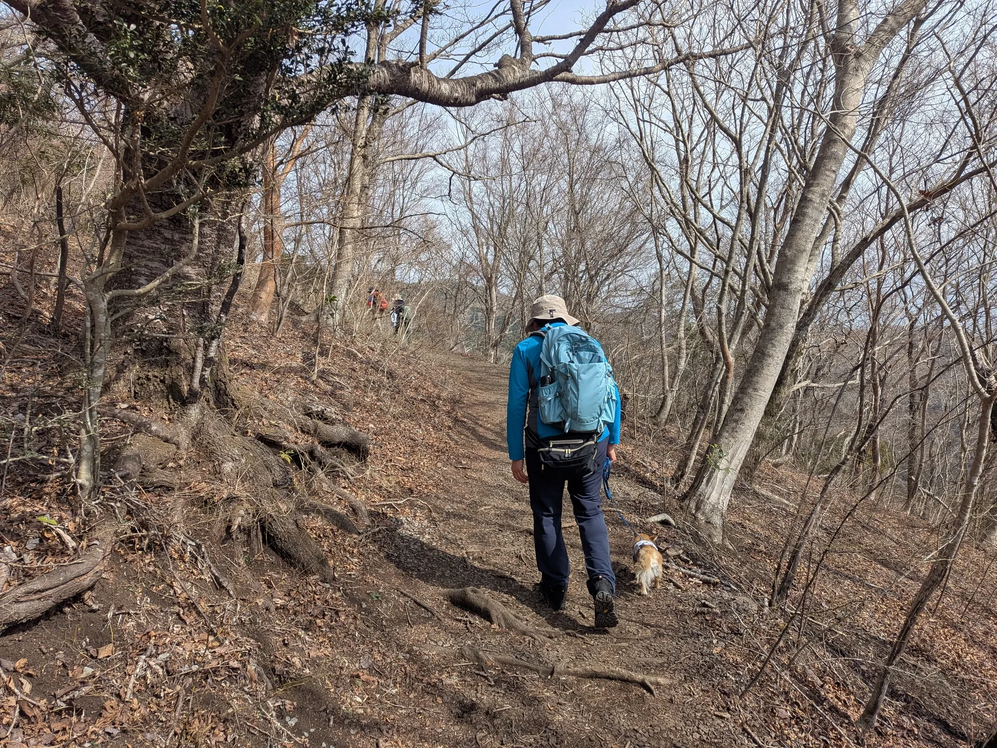 たむら鍼灸整骨院のイメージ