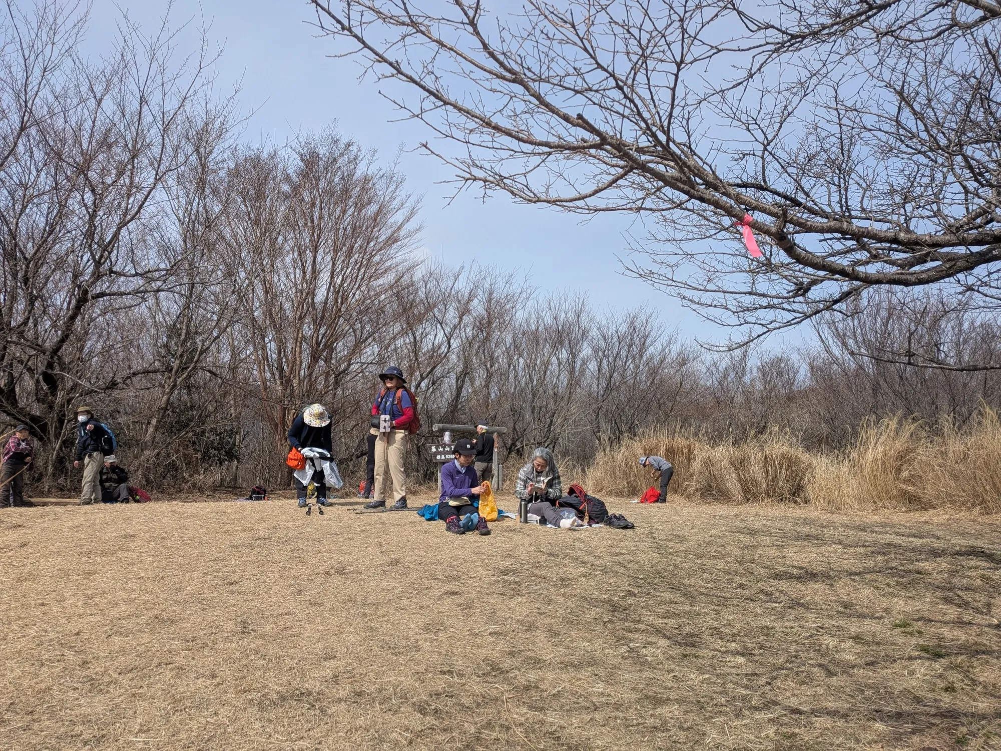たむら鍼灸整骨院のイメージ