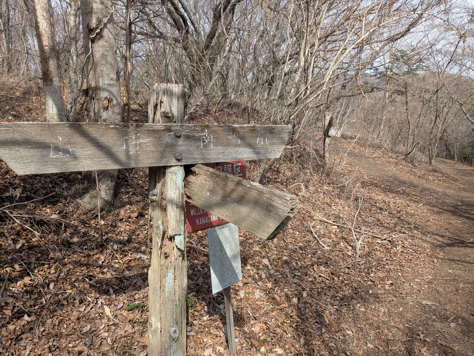 たむら鍼灸整骨院のイメージ