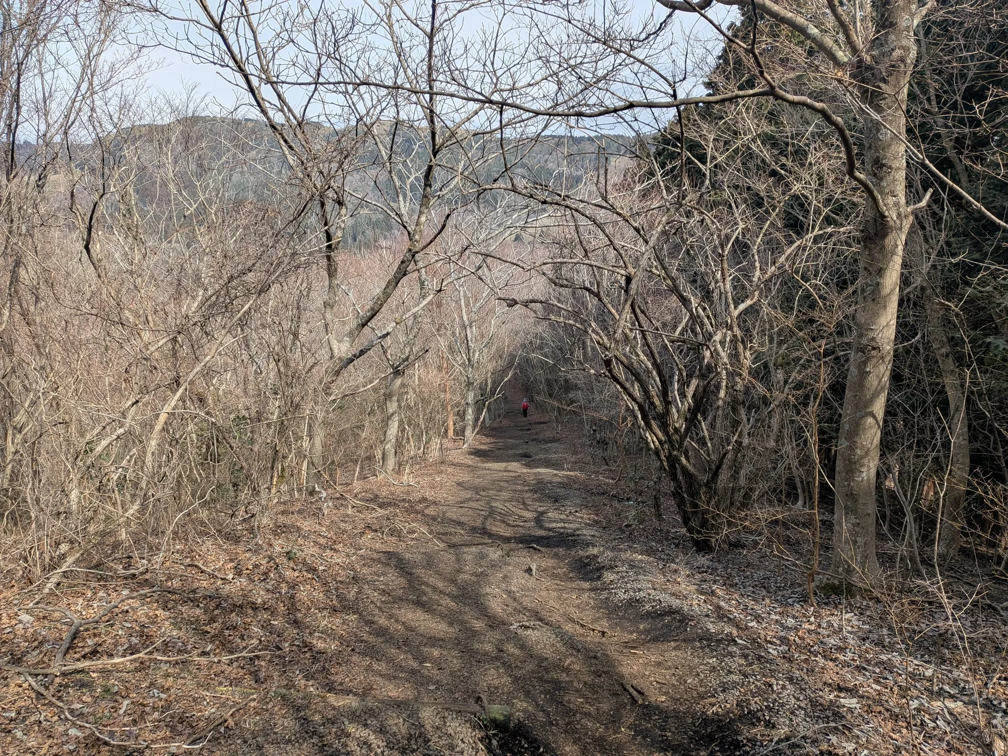 たむら鍼灸整骨院のイメージ
