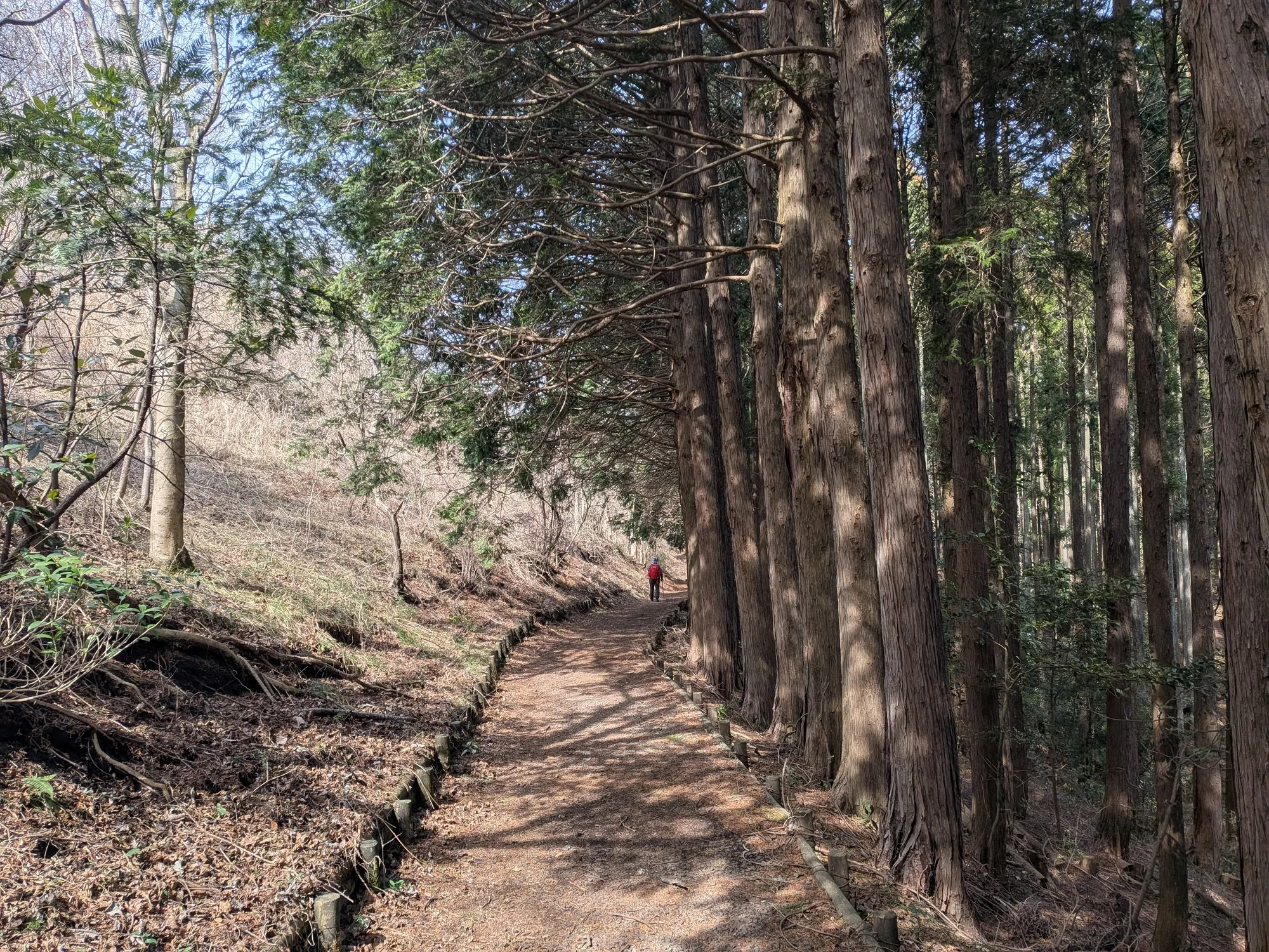 たむら鍼灸整骨院のイメージ