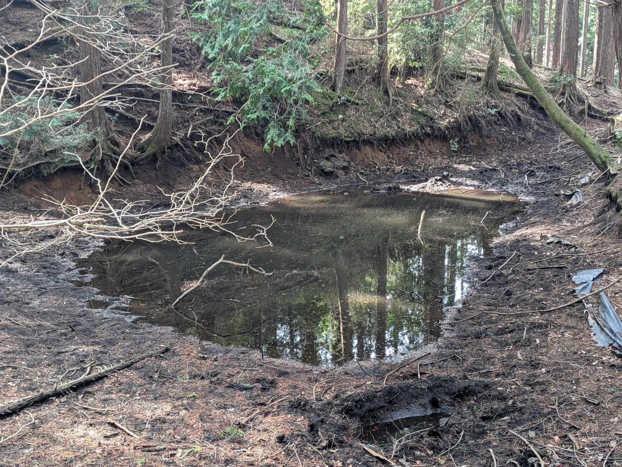 たむら鍼灸整骨院のイメージ