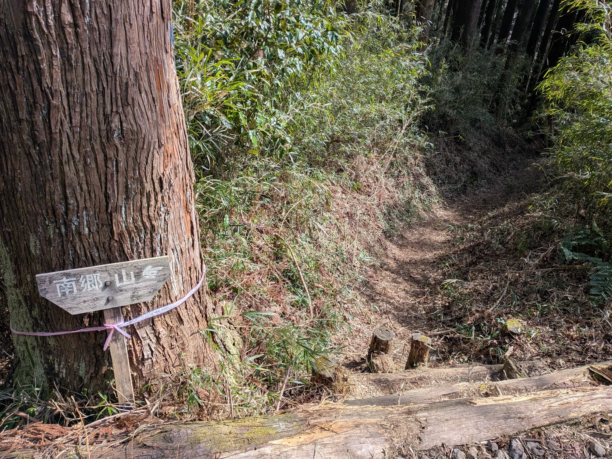 たむら鍼灸整骨院のイメージ