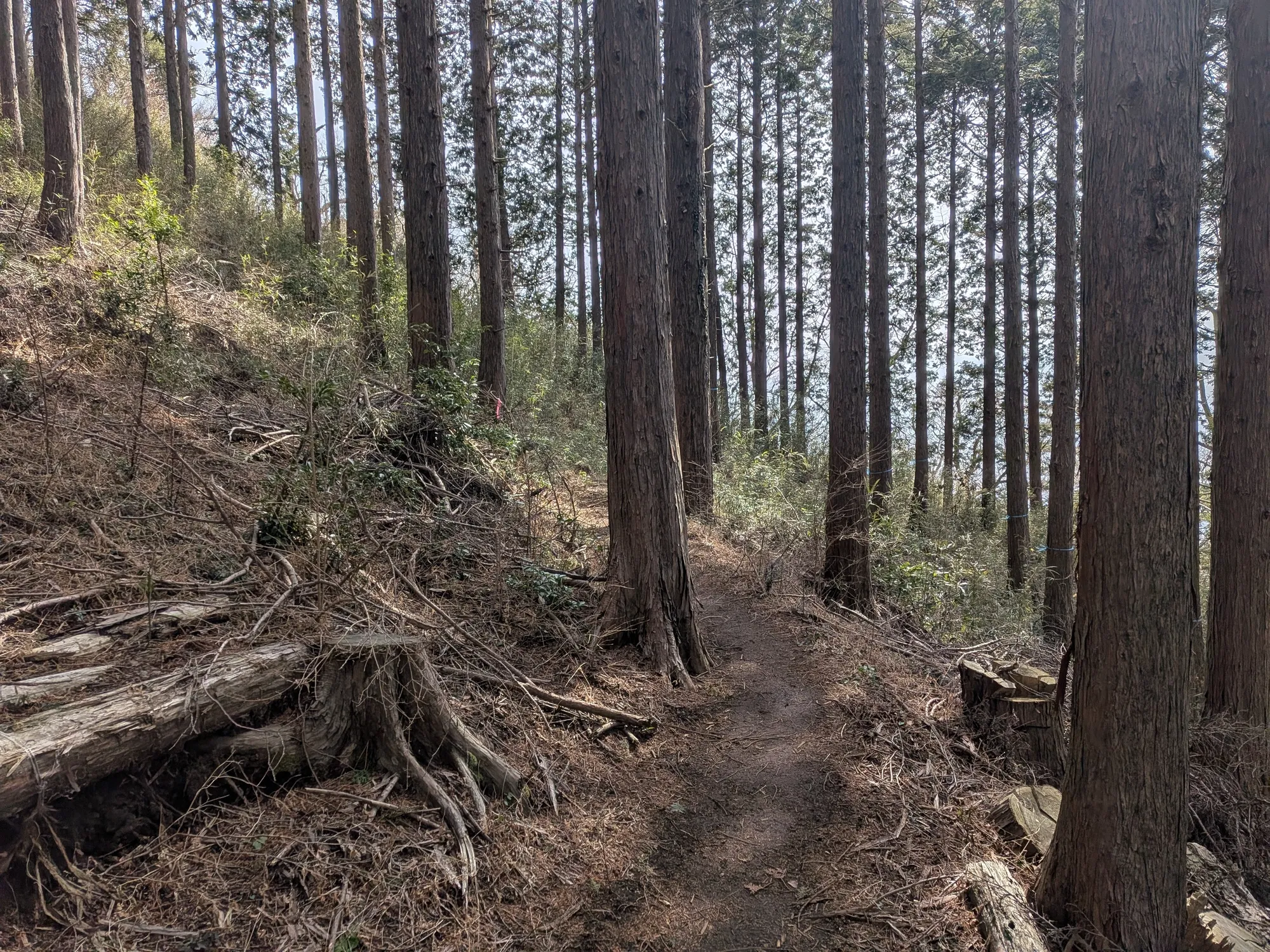 たむら鍼灸整骨院のイメージ