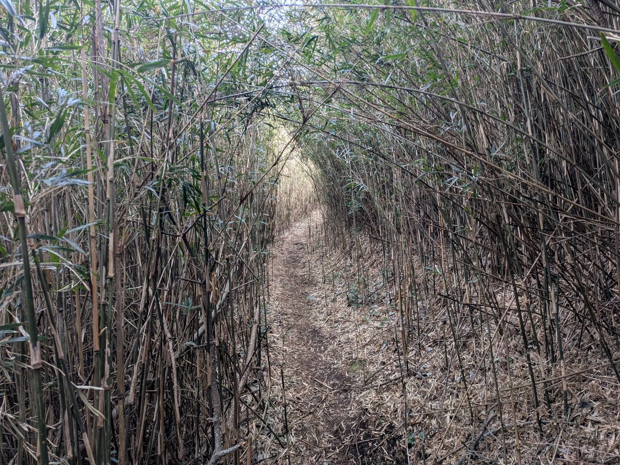 たむら鍼灸整骨院のイメージ