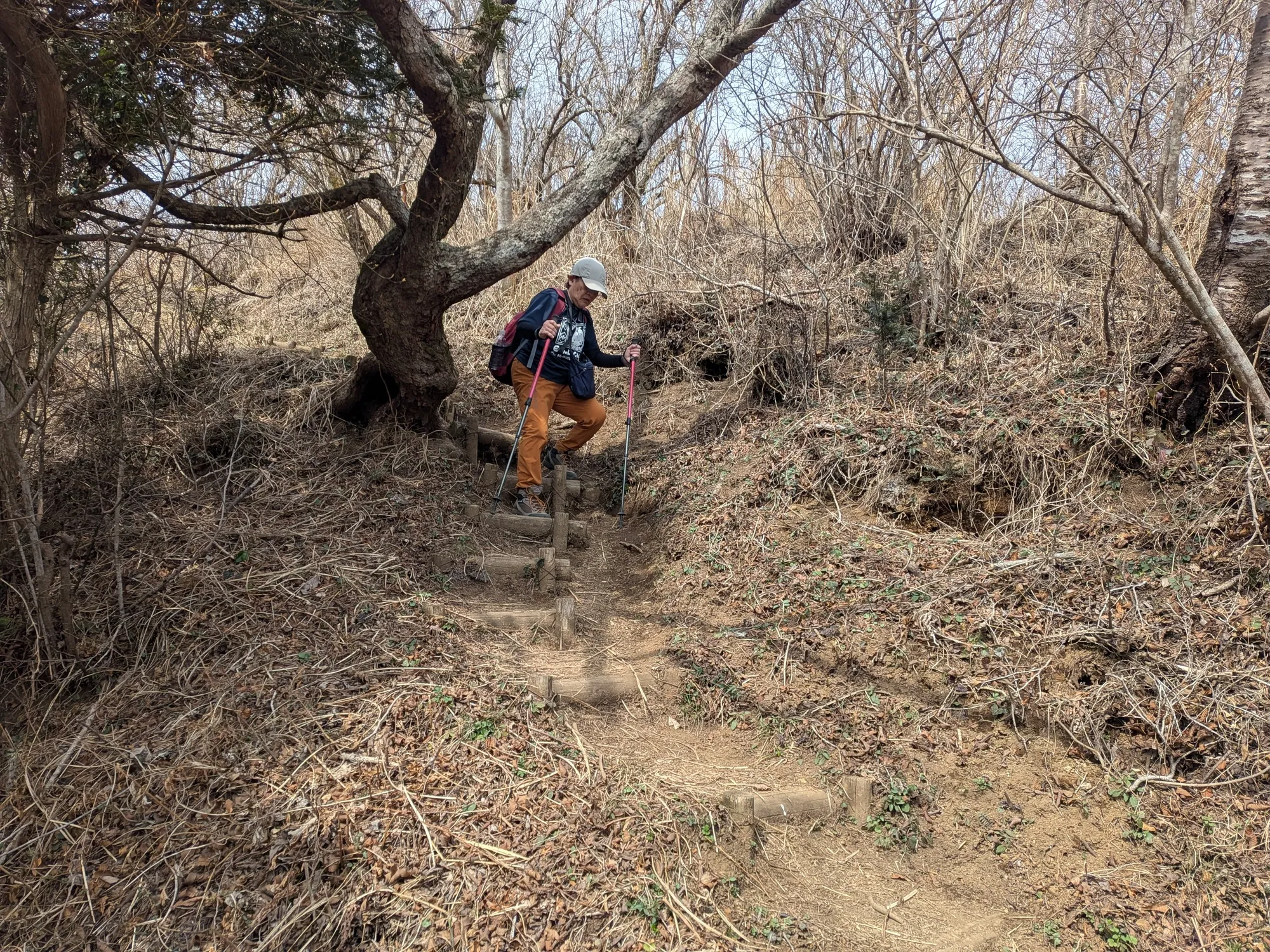たむら鍼灸整骨院のイメージ