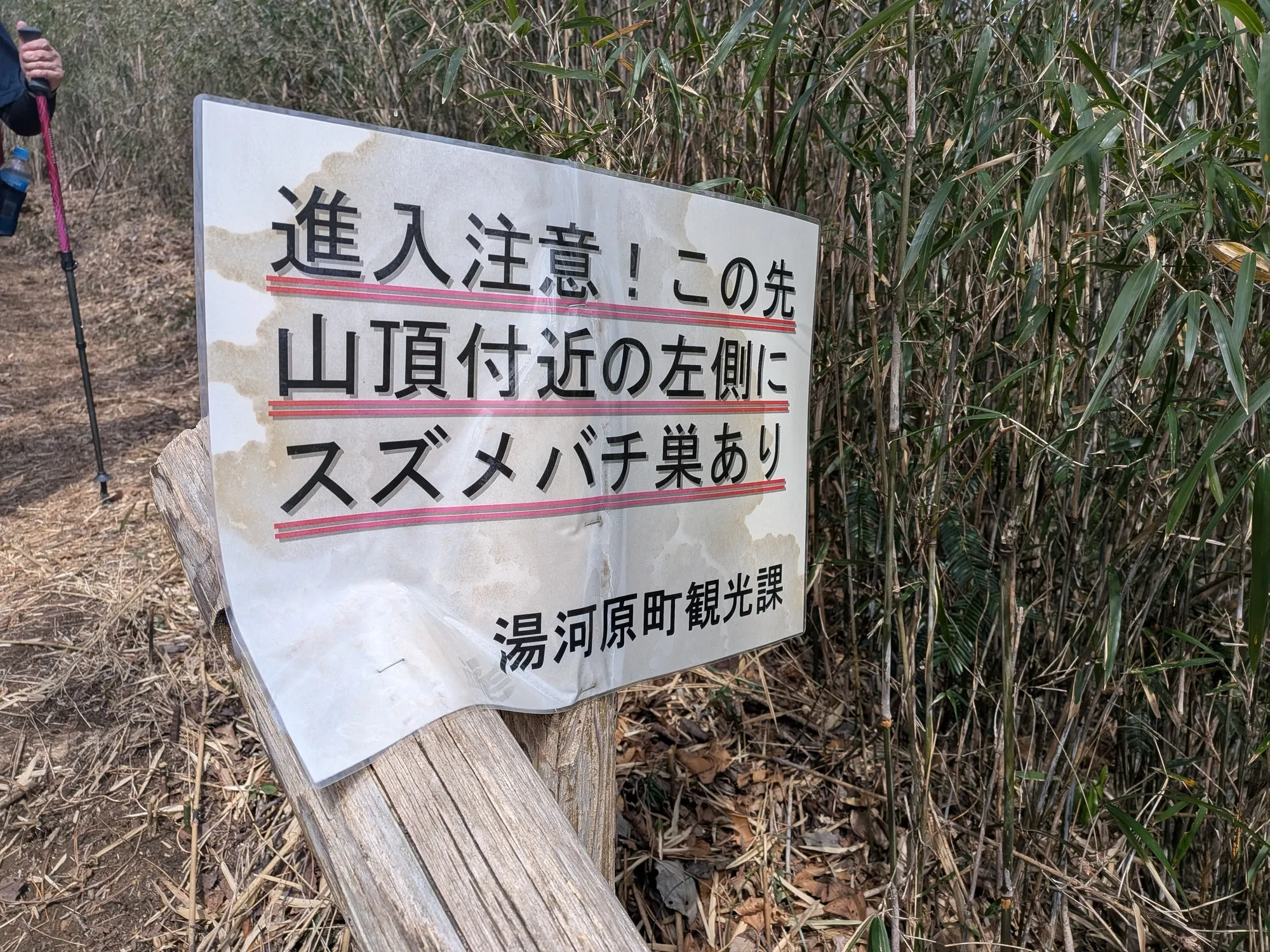 たむら鍼灸整骨院のイメージ