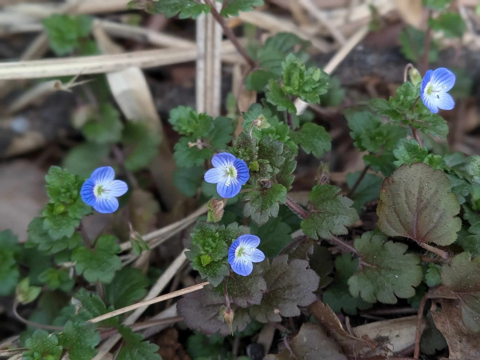 たむら鍼灸整骨院のイメージ