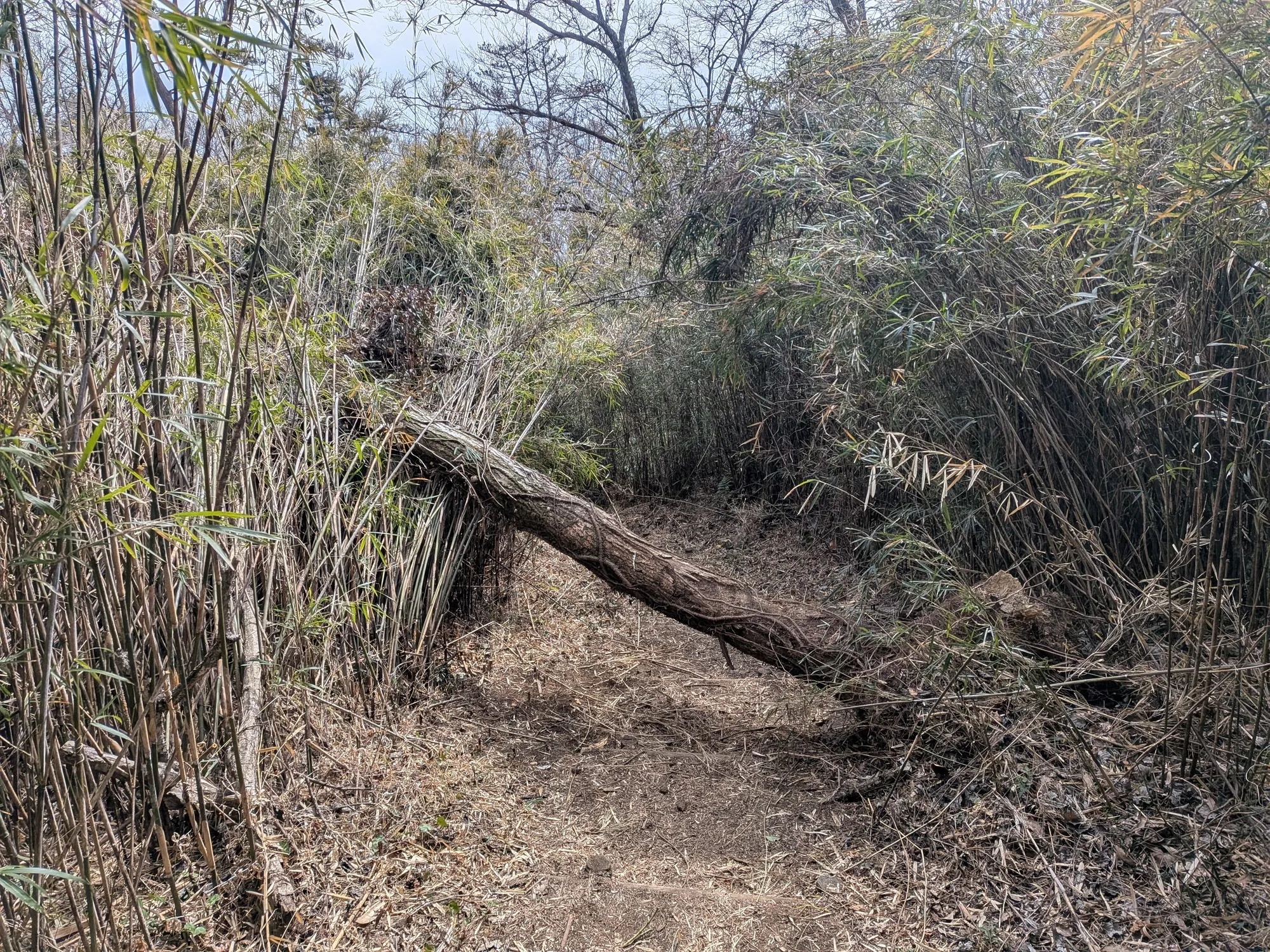 たむら鍼灸整骨院のイメージ