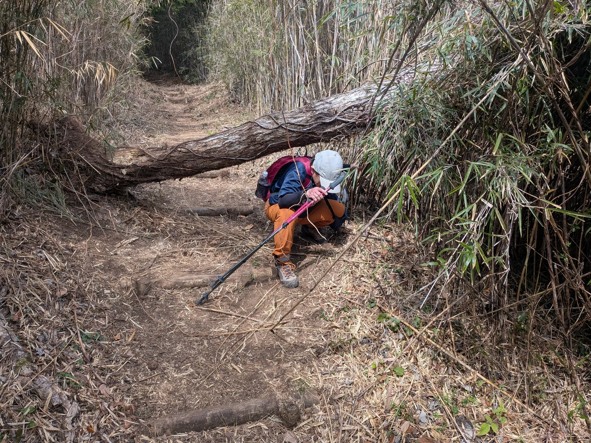 たむら鍼灸整骨院のイメージ