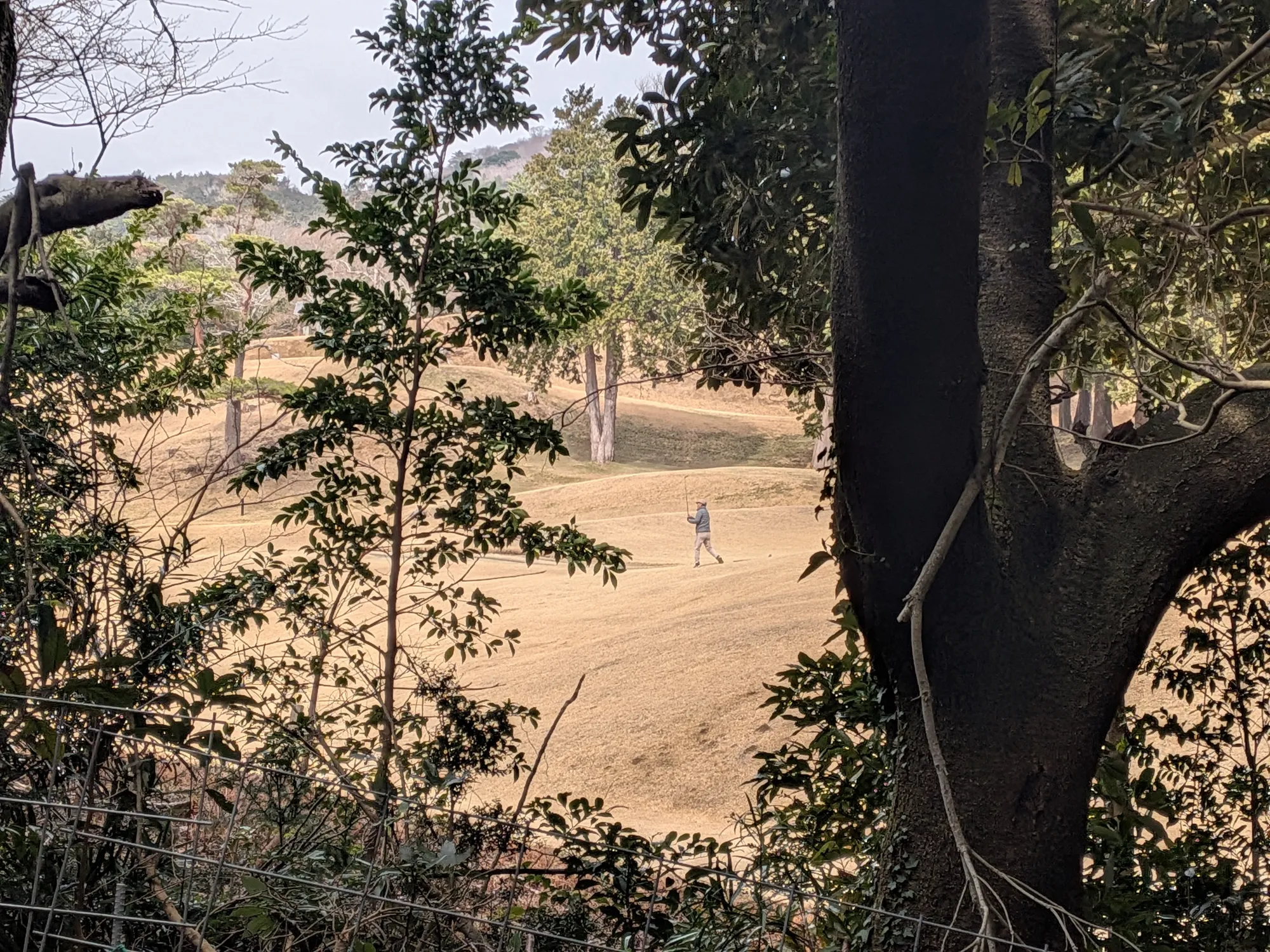 たむら鍼灸整骨院のイメージ