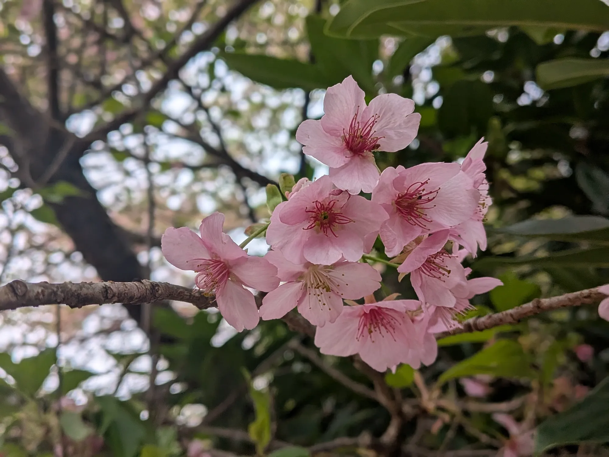 たむら鍼灸整骨院のイメージ