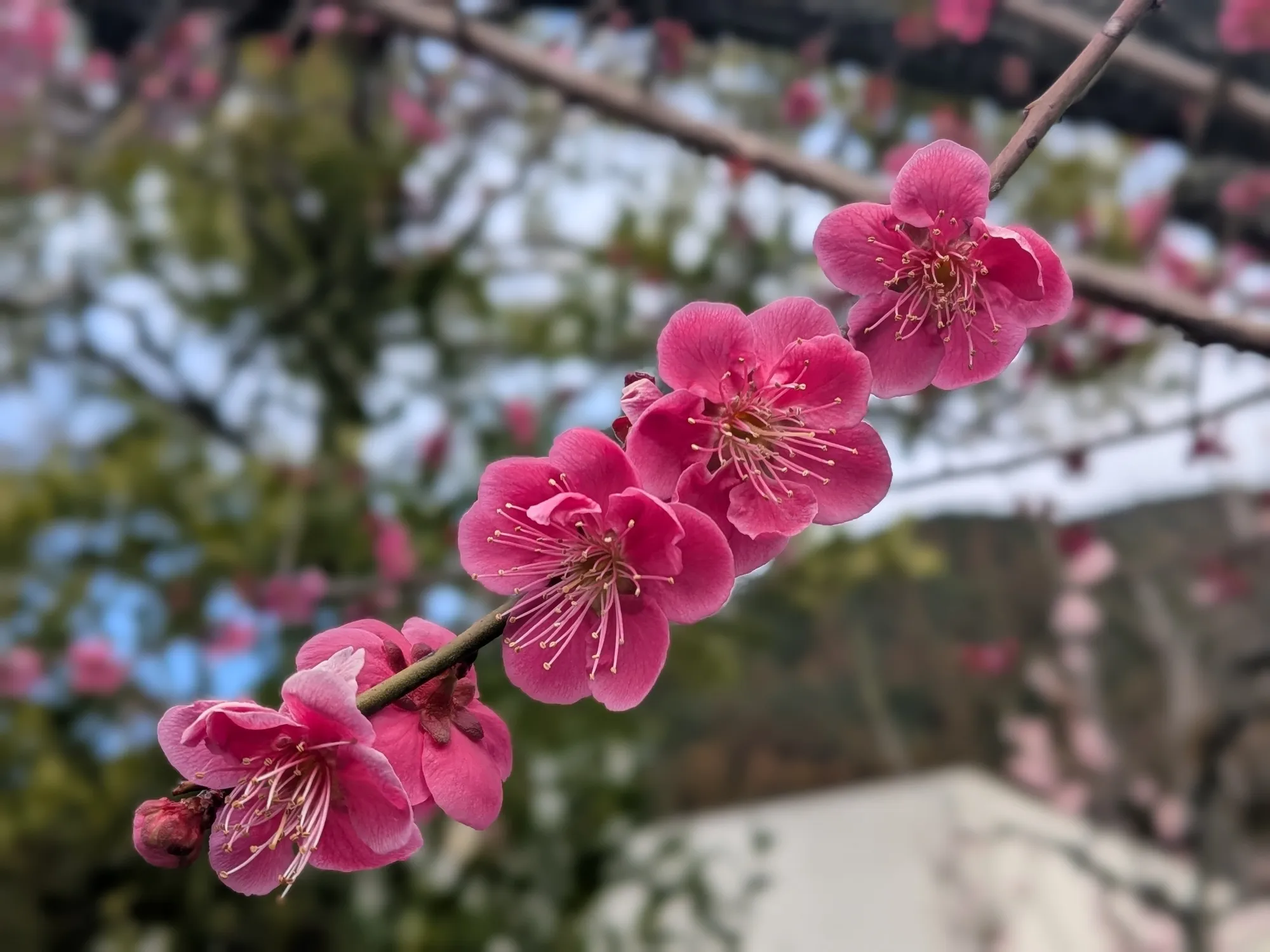 たむら鍼灸整骨院のイメージ