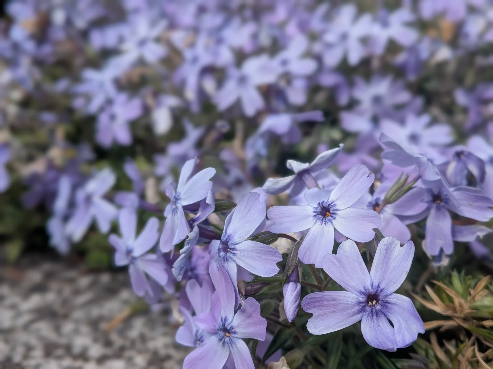 たむら鍼灸整骨院のイメージ