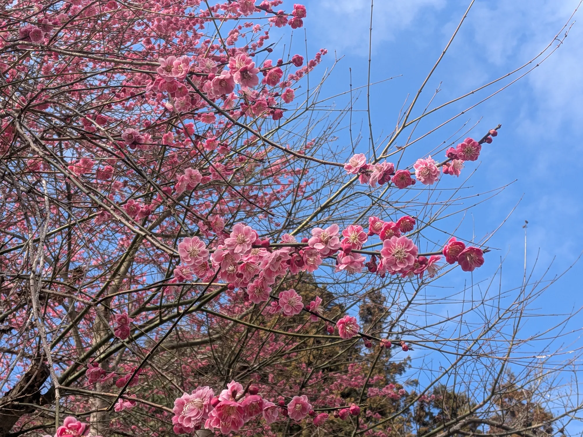 たむら鍼灸整骨院のイメージ