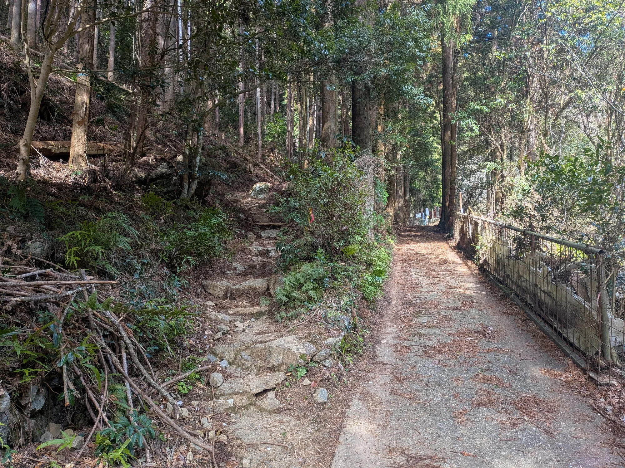 たむら鍼灸整骨院のイメージ