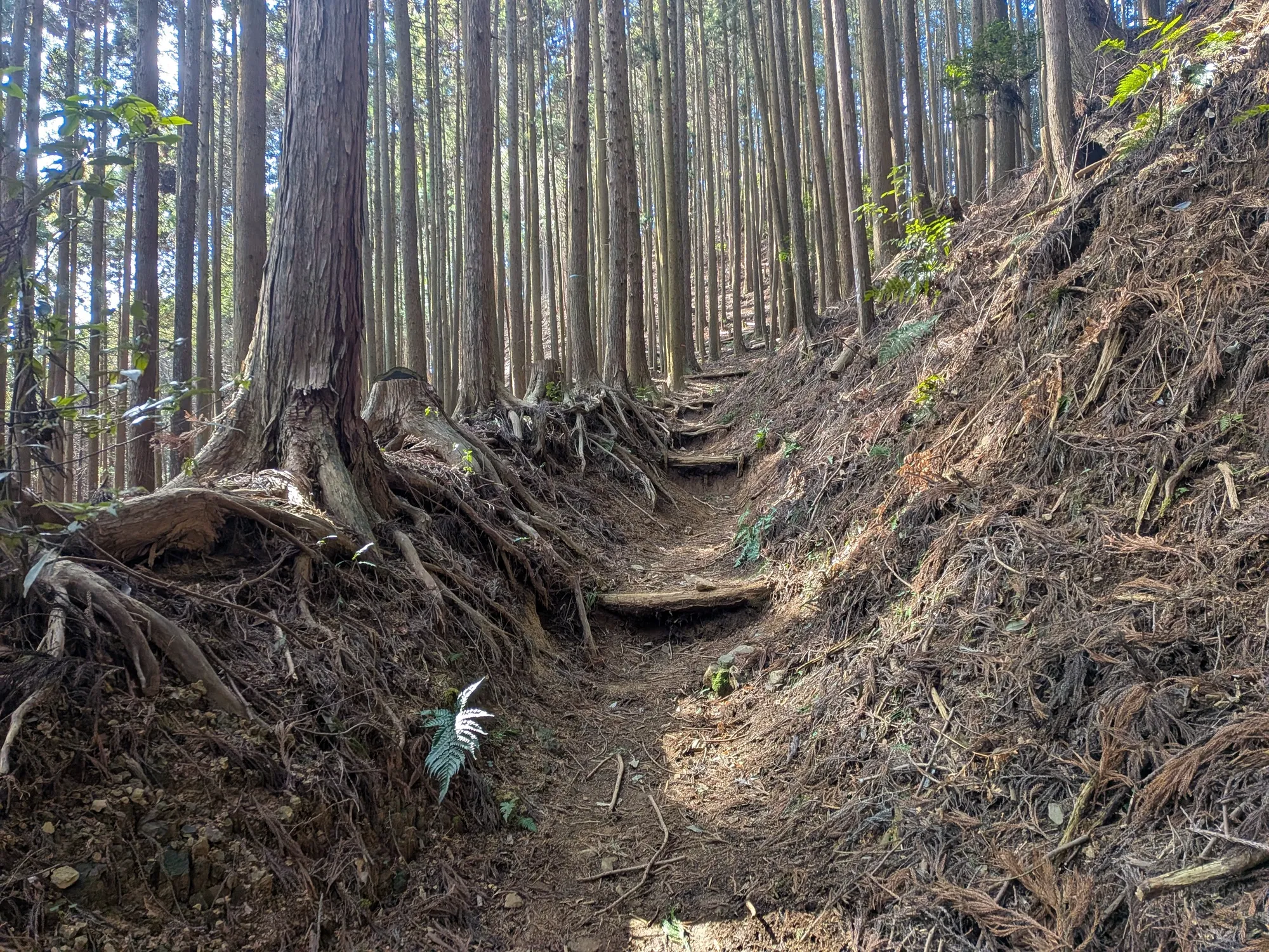 たむら鍼灸整骨院のイメージ