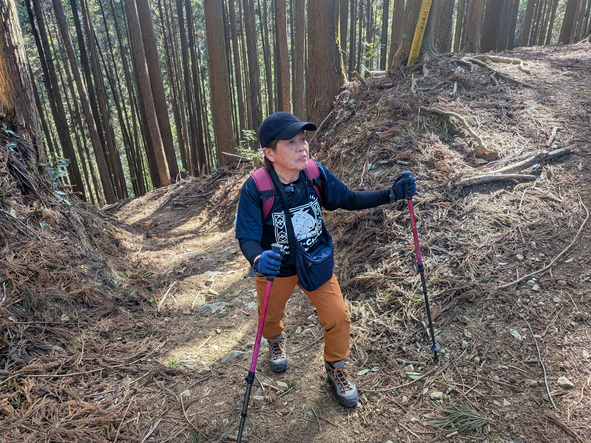 たむら鍼灸整骨院のイメージ