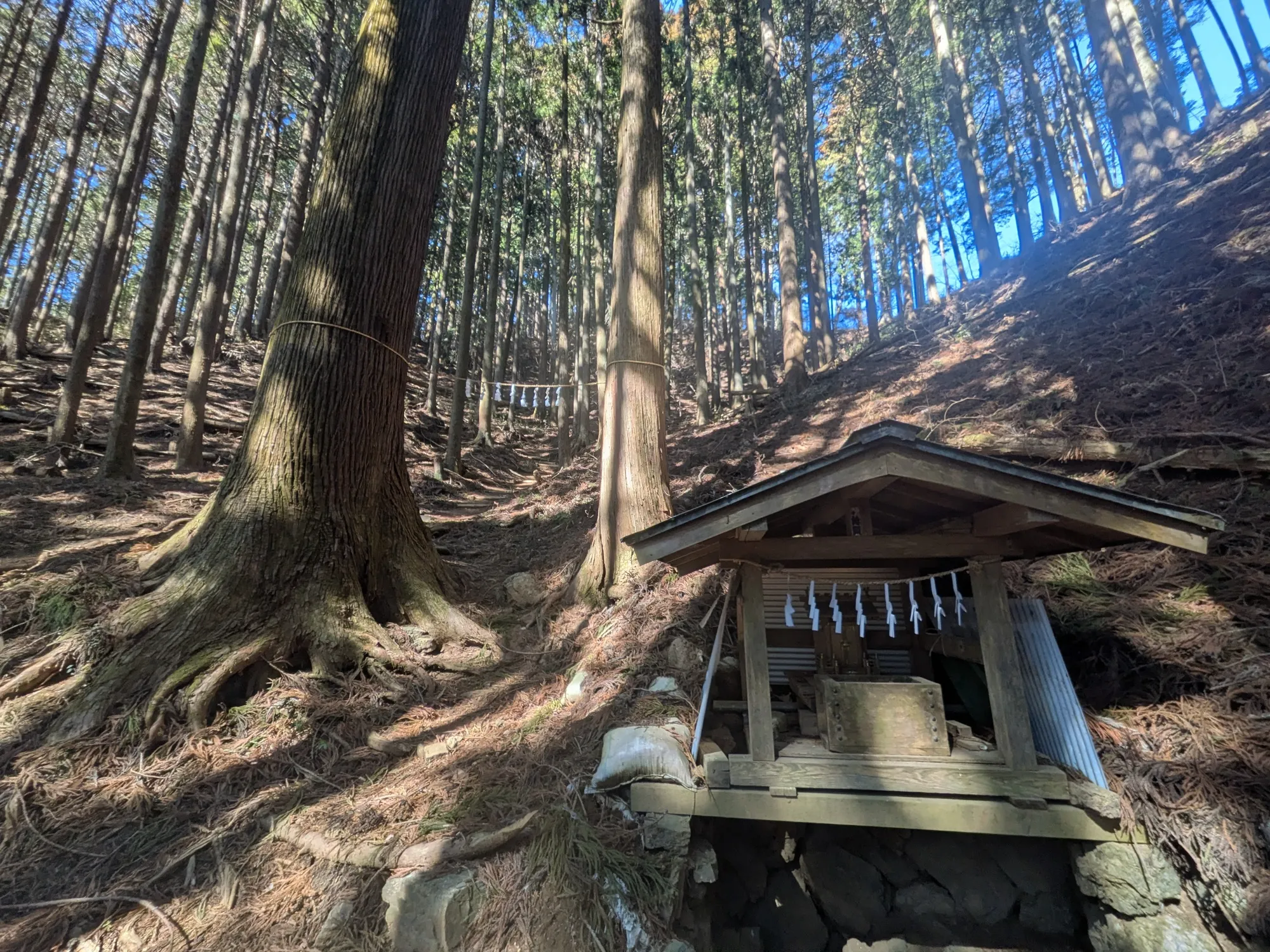 たむら鍼灸整骨院のイメージ