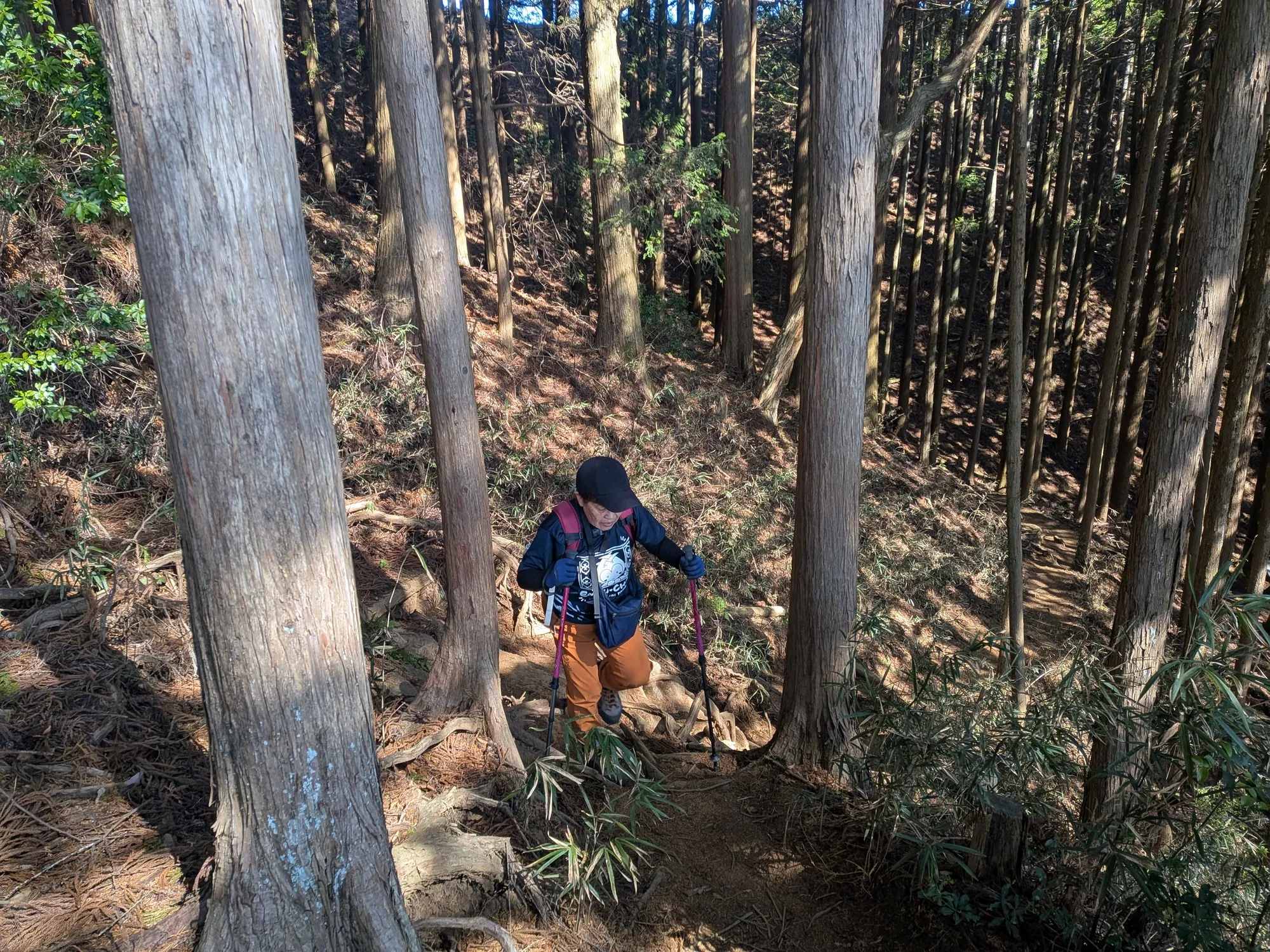 たむら鍼灸整骨院のイメージ