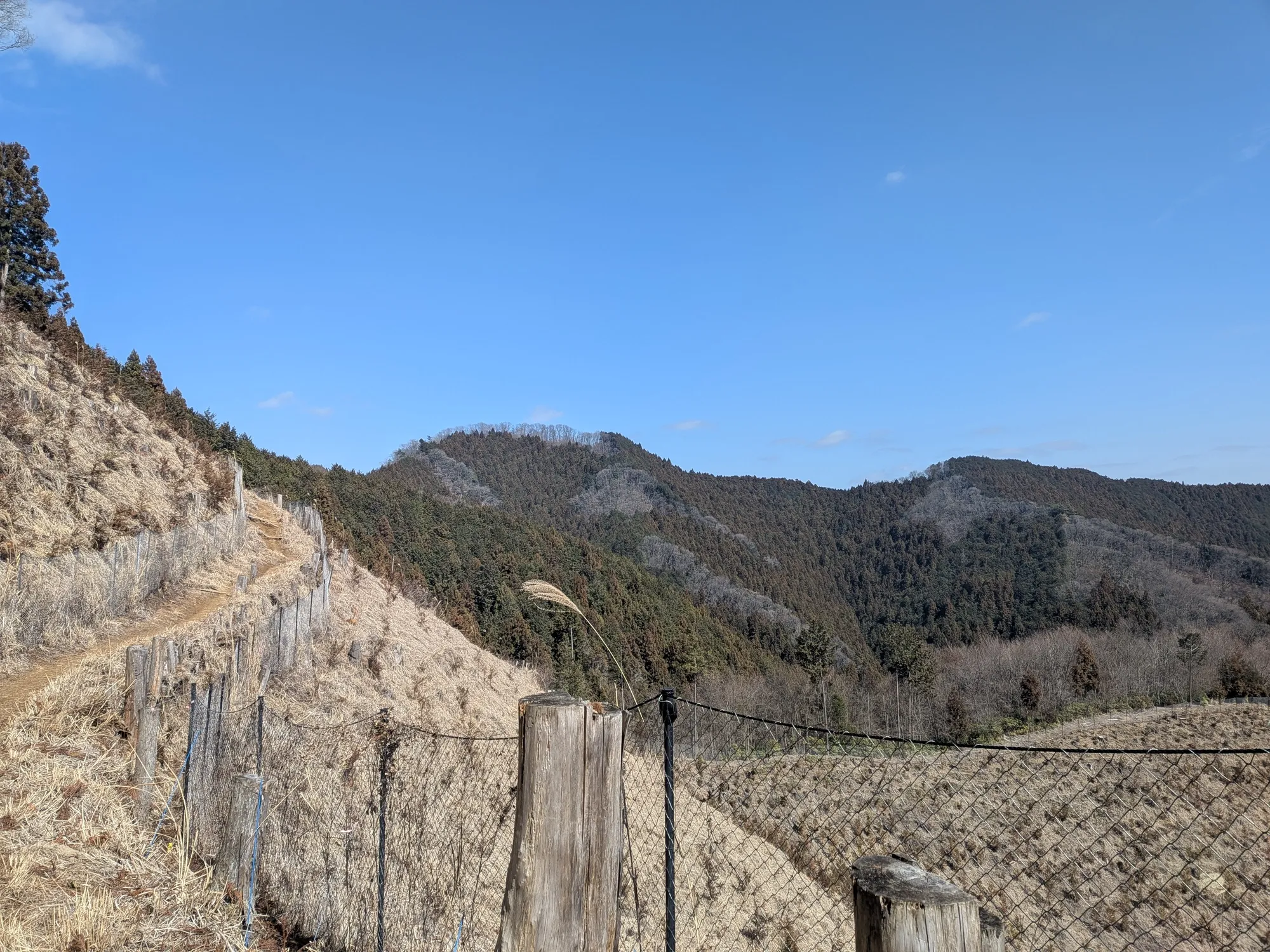 たむら鍼灸整骨院のイメージ