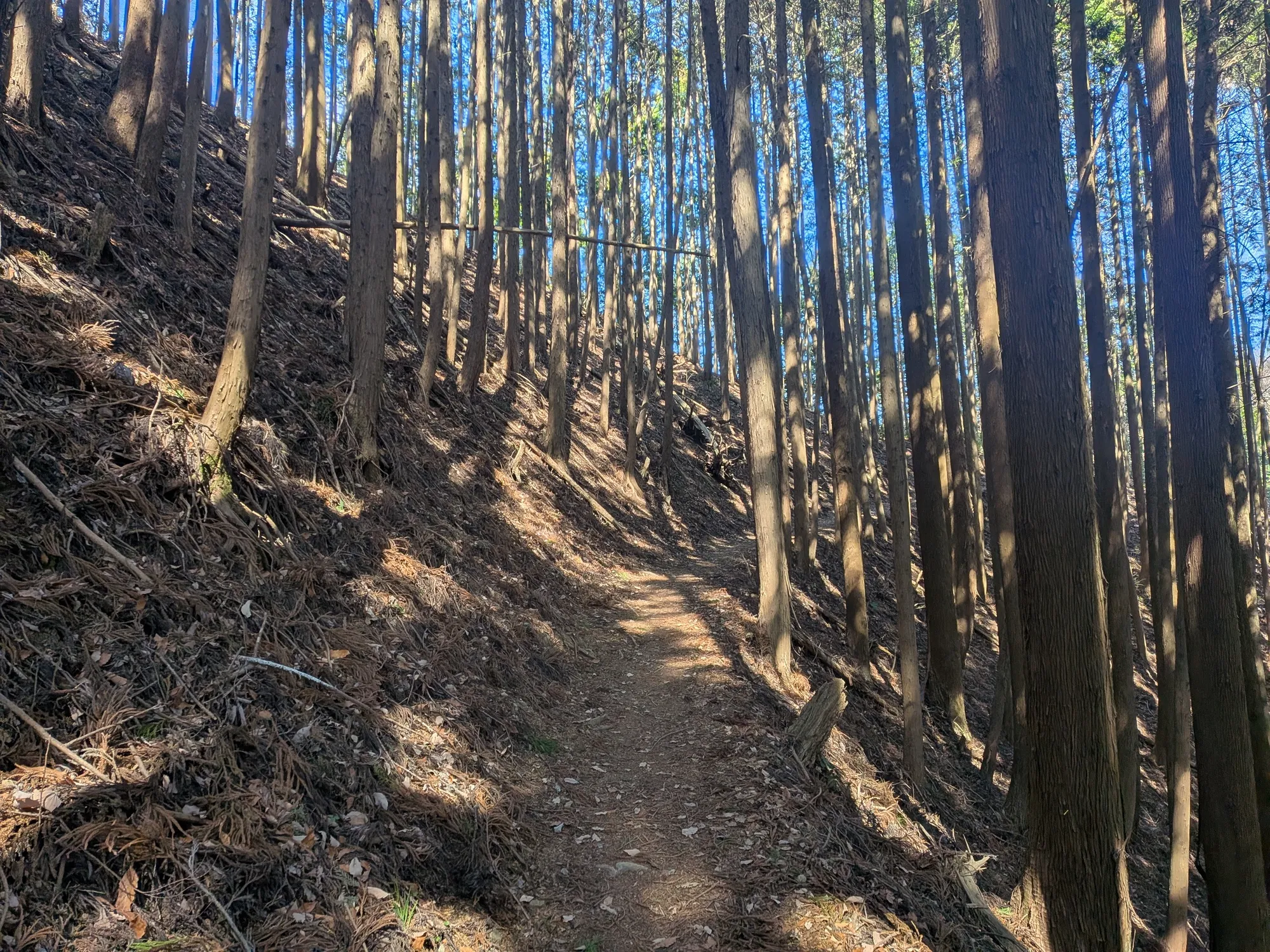 たむら鍼灸整骨院のイメージ