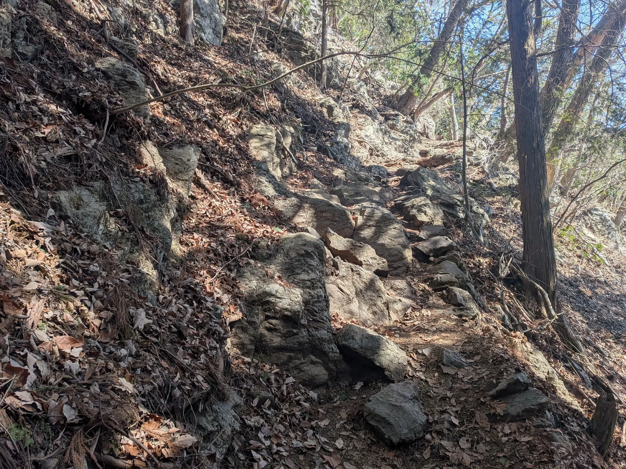 たむら鍼灸整骨院のイメージ