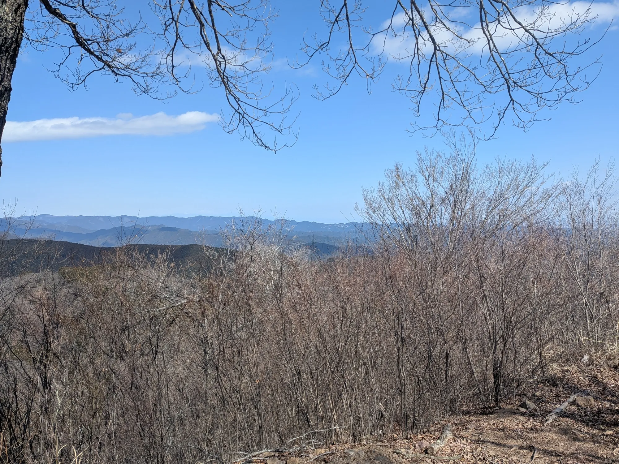 たむら鍼灸整骨院のイメージ