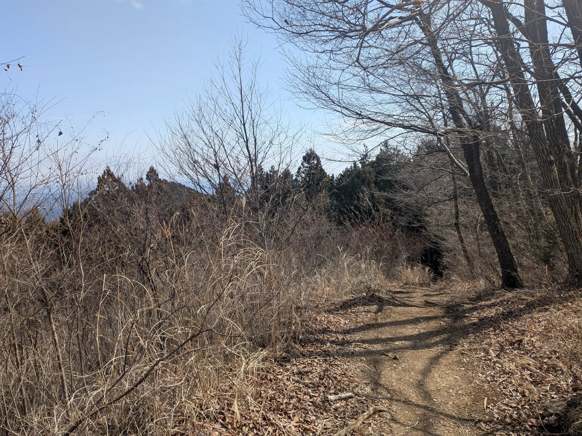 たむら鍼灸整骨院のイメージ