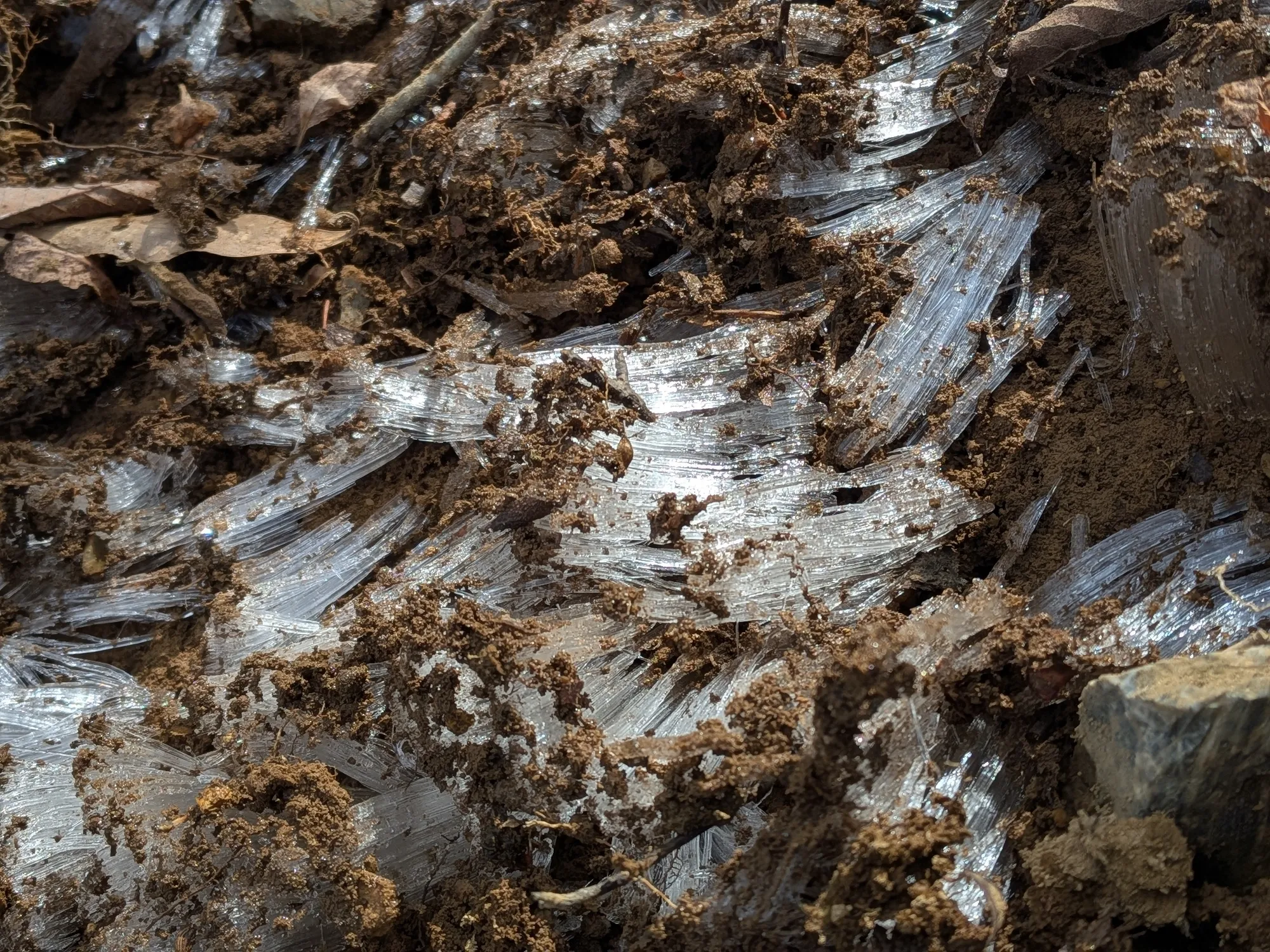たむら鍼灸整骨院のイメージ