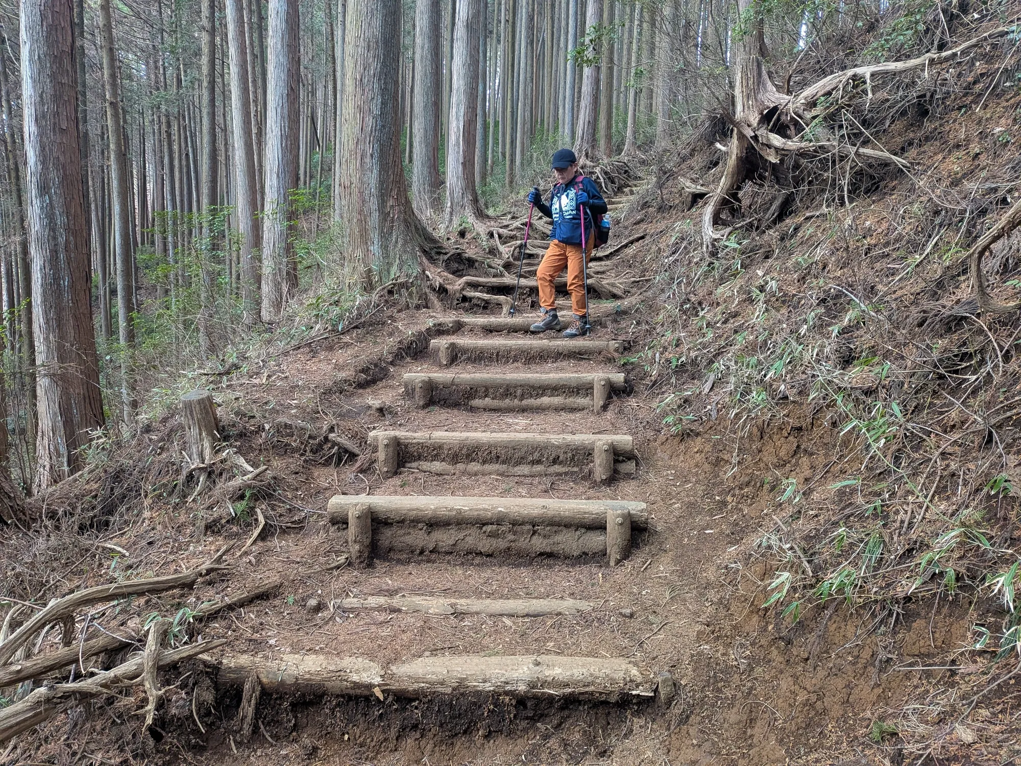 たむら鍼灸整骨院のイメージ