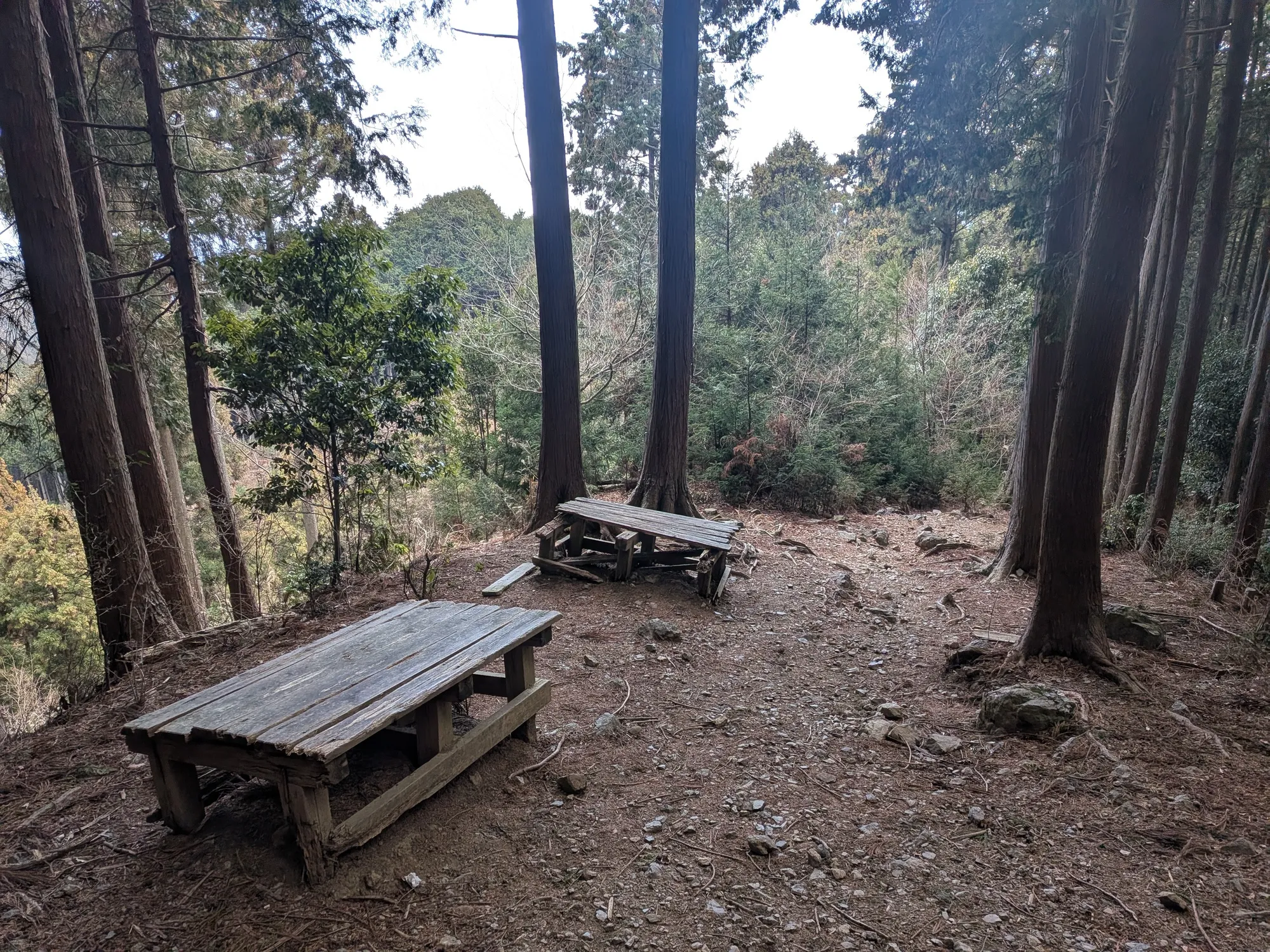 たむら鍼灸整骨院のイメージ