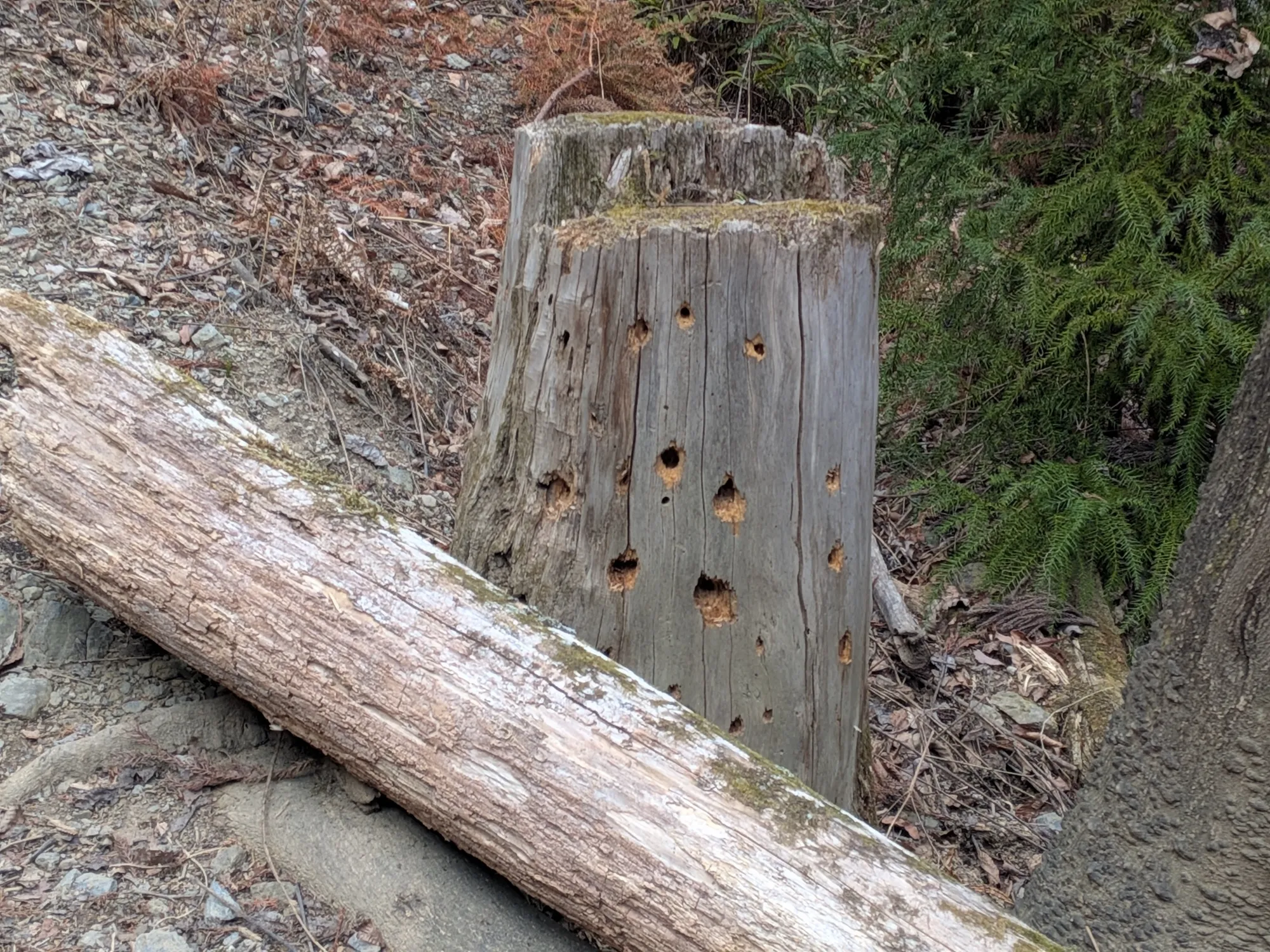 たむら鍼灸整骨院のイメージ