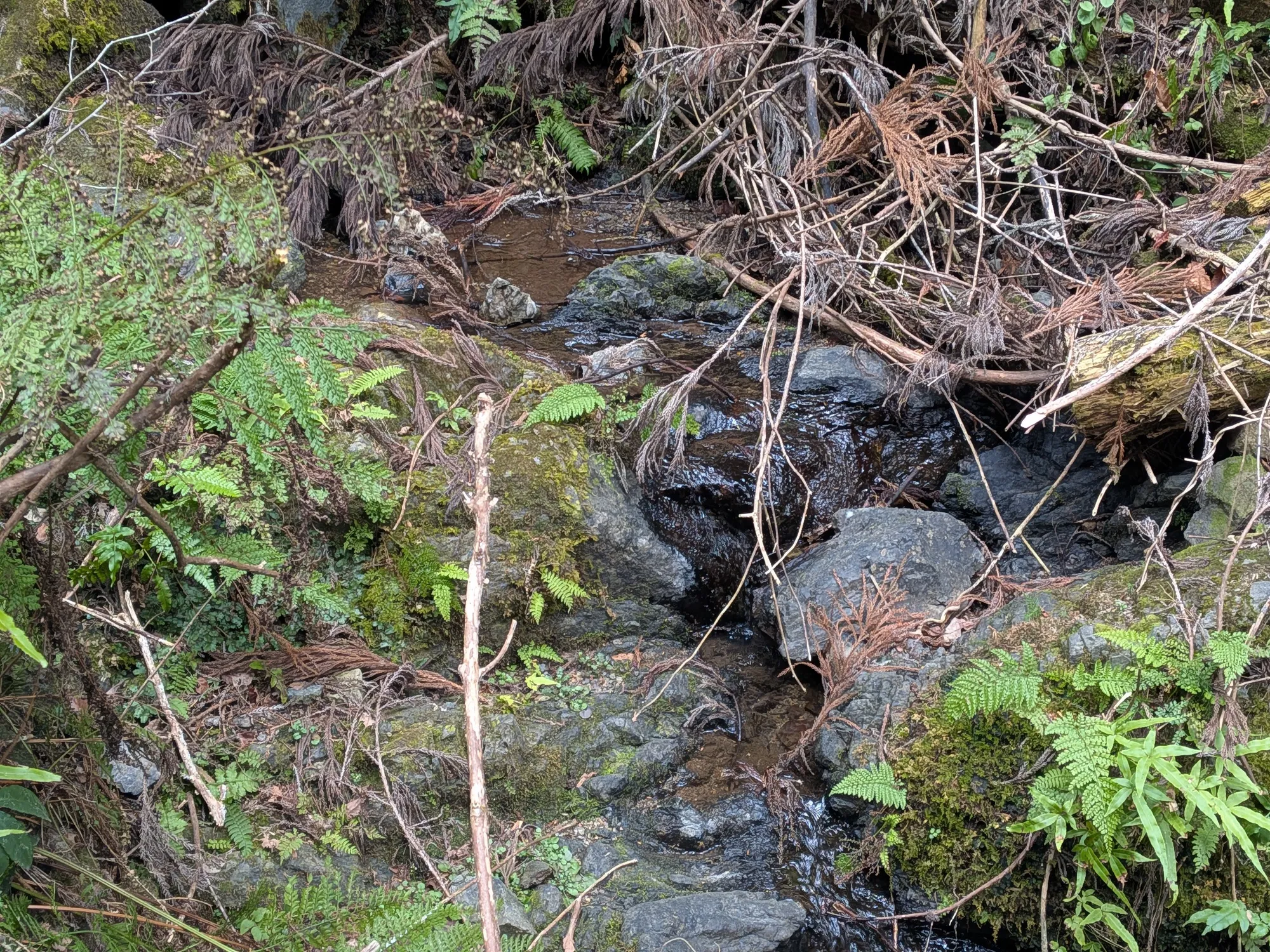 たむら鍼灸整骨院のイメージ