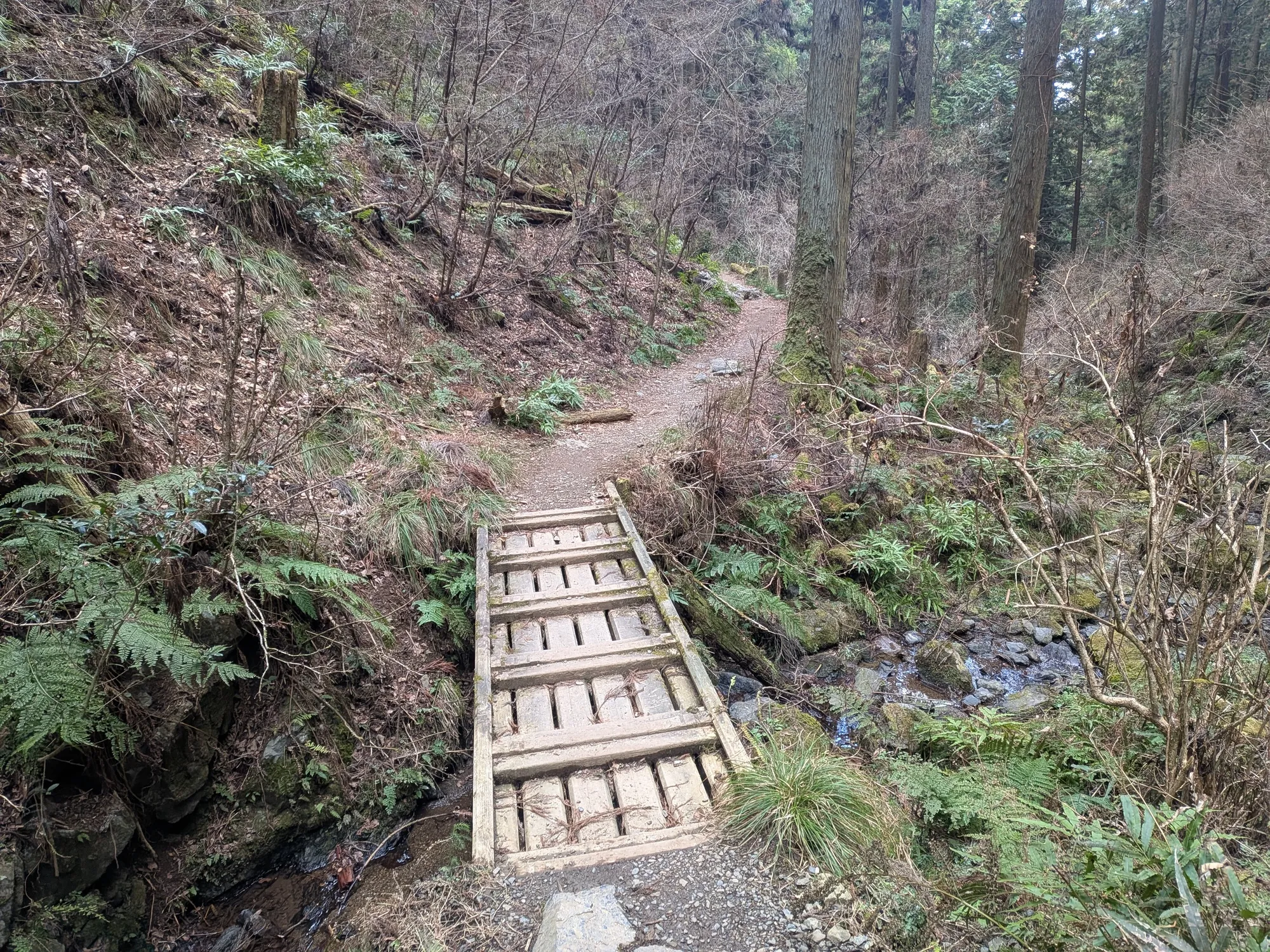 たむら鍼灸整骨院のイメージ