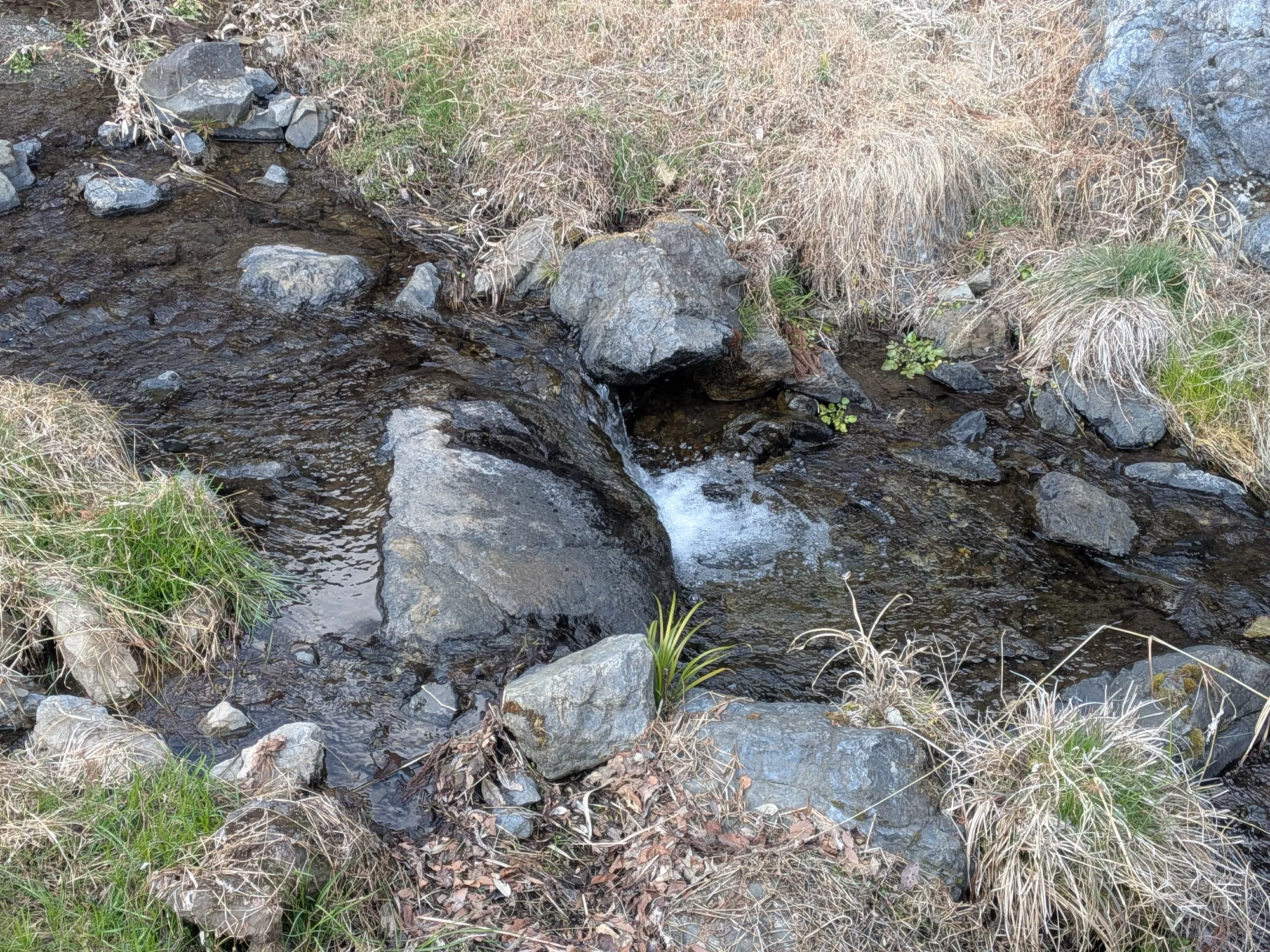 たむら鍼灸整骨院のイメージ