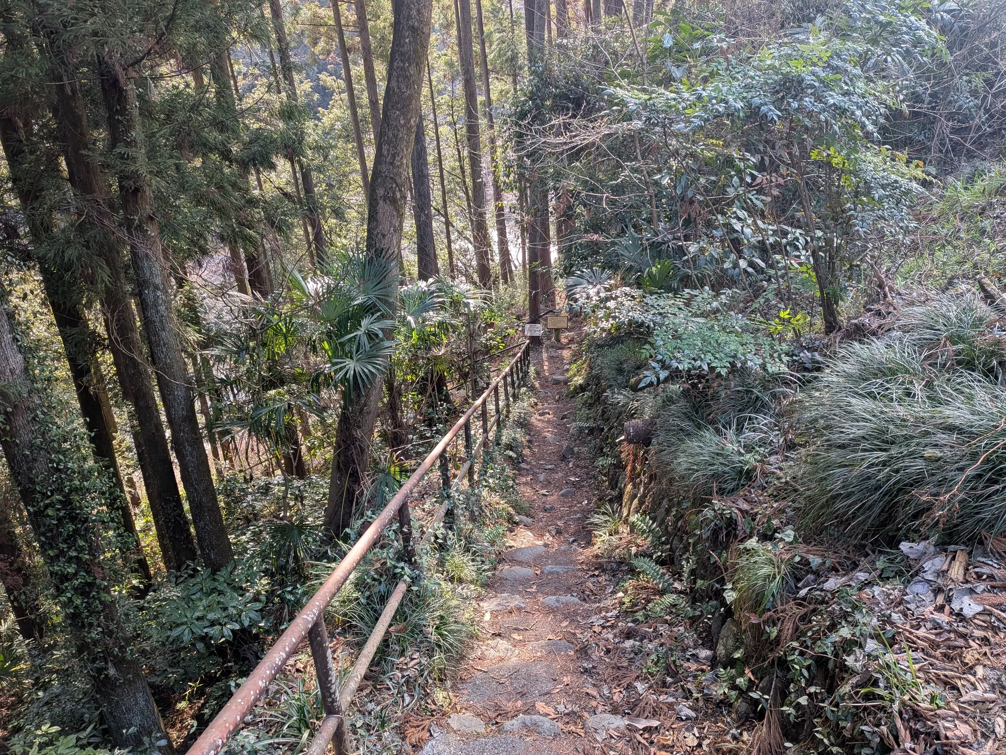 たむら鍼灸整骨院のイメージ