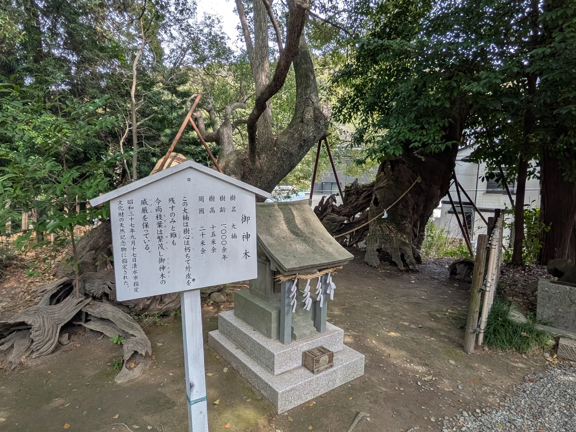 たむら鍼灸整骨院のイメージ