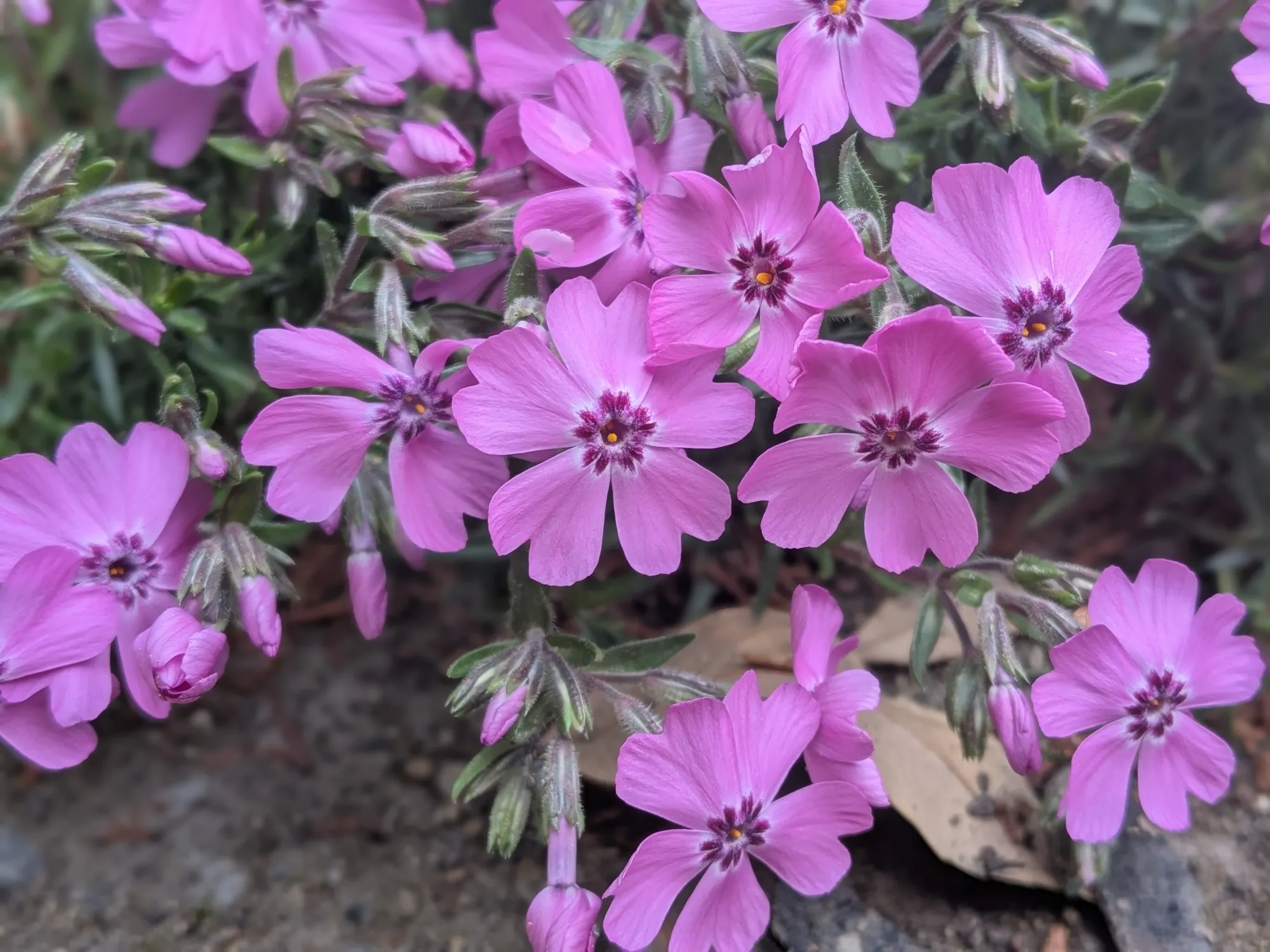 たむら鍼灸整骨院のイメージ